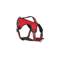 Árnes Reflectante Para Perro Rojo Pequeño
