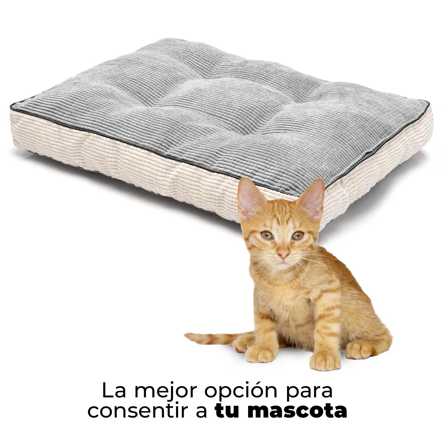Cama Colchoneta Para Gato Premium 61X46X8Cm Mediana Gris Energy 4