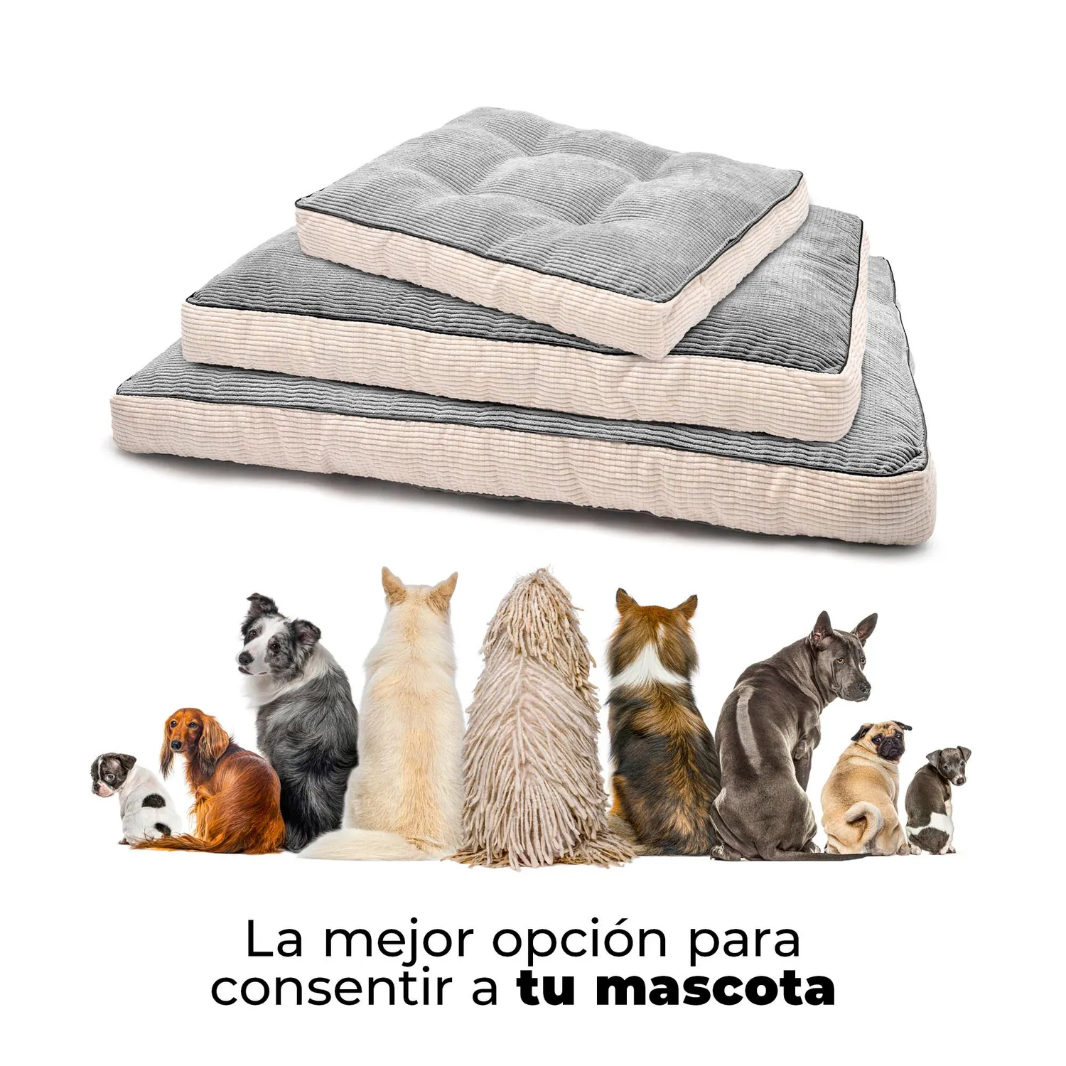 Cama Para Perro Viscoelástica Premium 61x46x8cm Mediana Gris 4