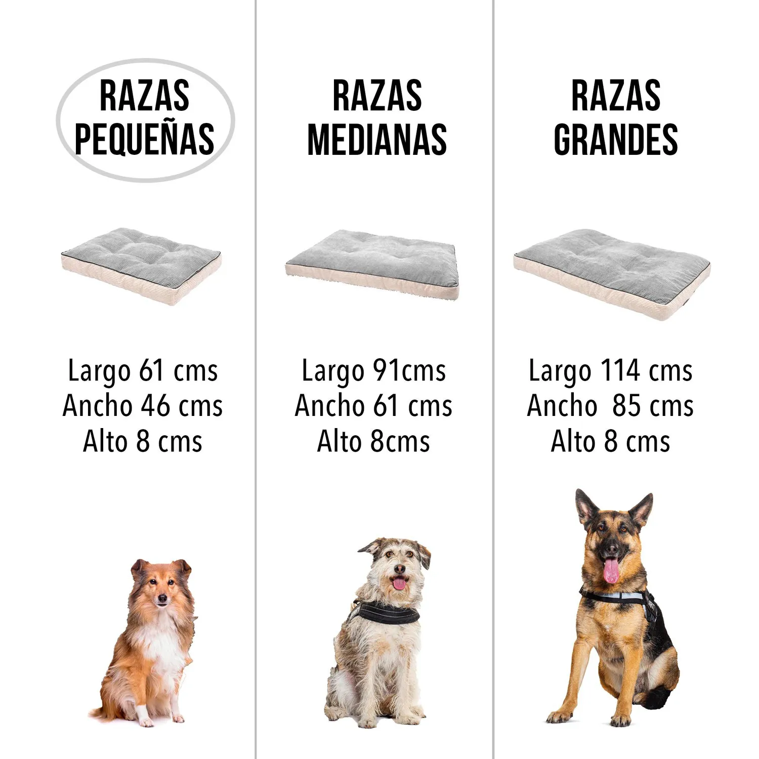 Cama Para Perro Viscoelástica Premium 61x46x8cm Mediana Gris 7