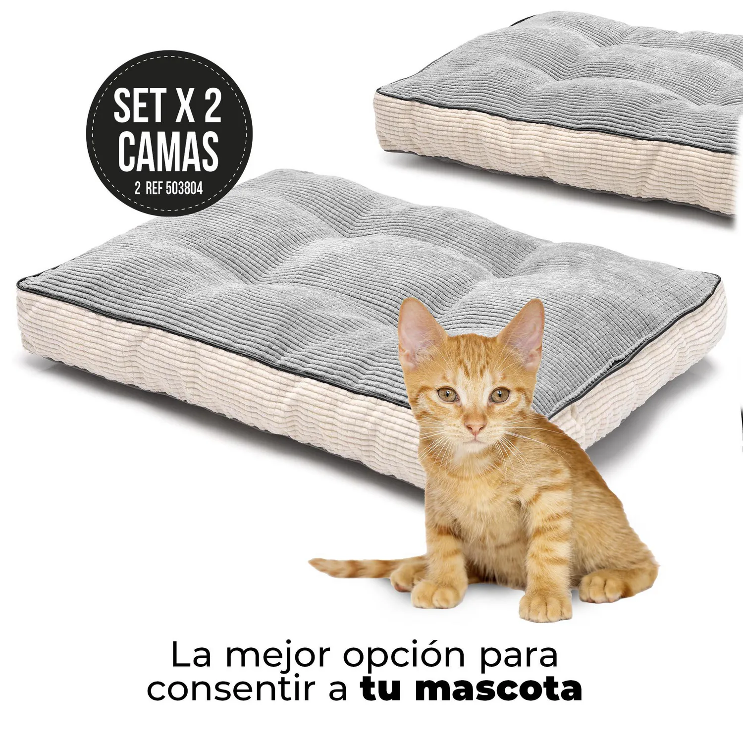 Set x2 Camas Colchonetas Para Gatos Medianas Viscoelástica 61X46X8Cm 4