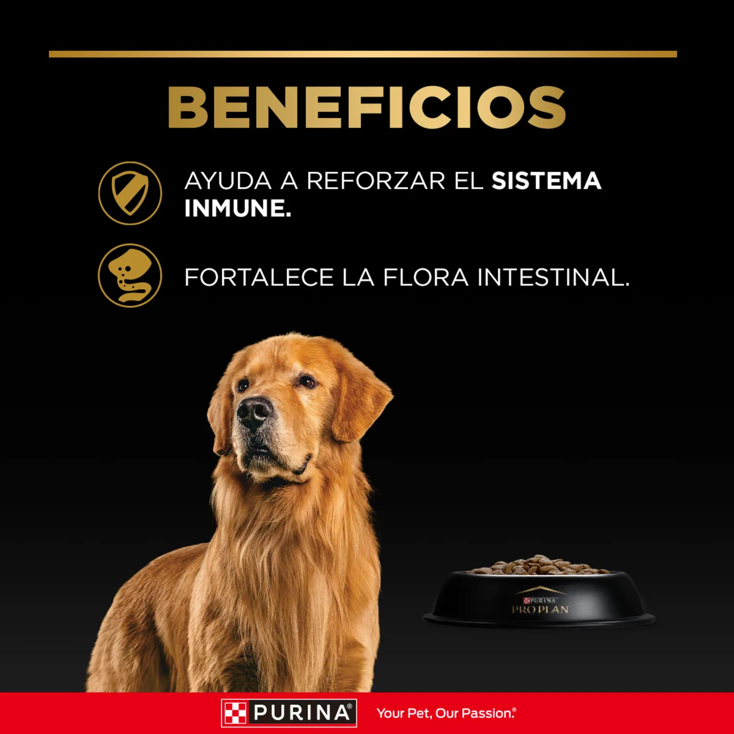 Comida Seca Para Perro Adulto Pro Plan Raza Mediana Sabor A Pollo 3kg 5