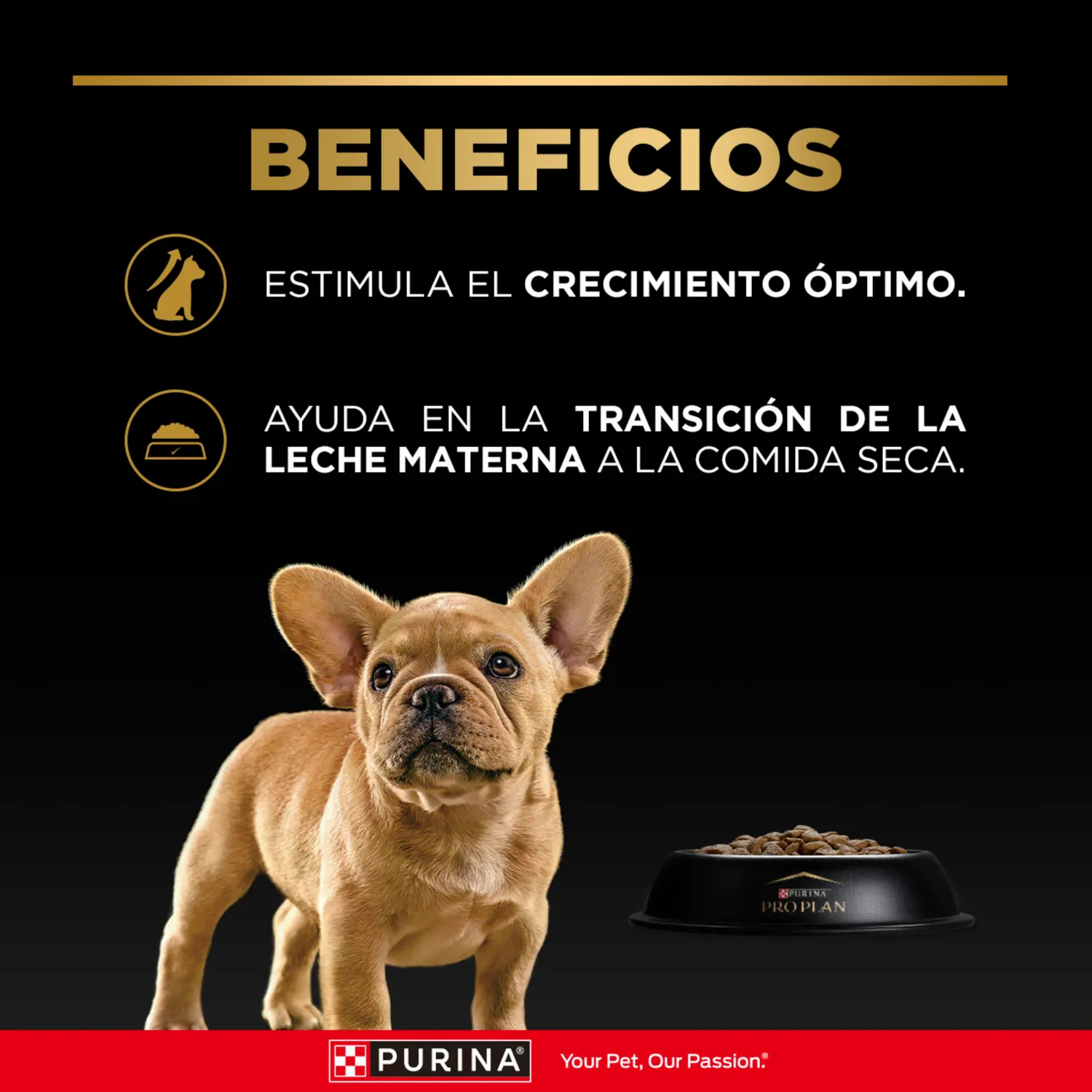 Comida Seca Para Perro Cachorro Pro Plan Raza Pequeña 1kg 4
