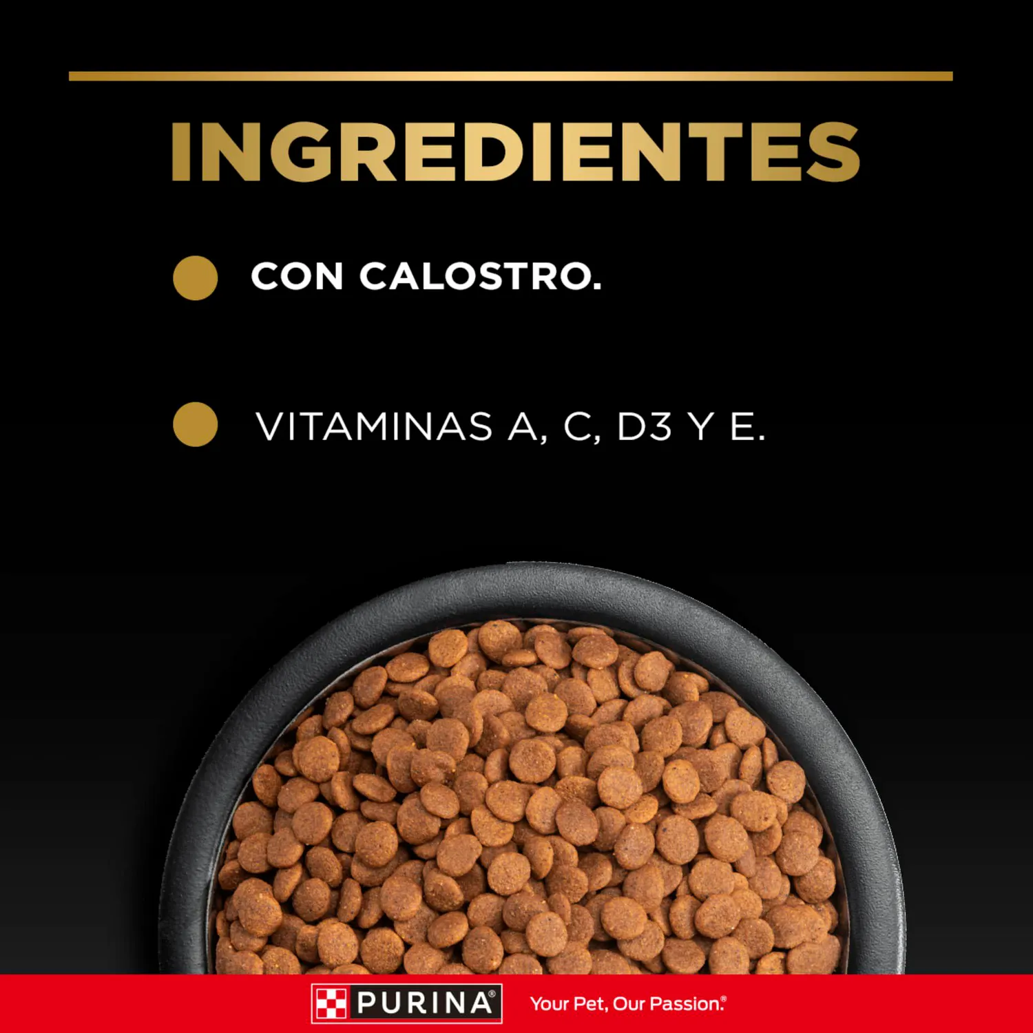 Comida Seca Para Perro Cachorro Pro Plan Raza Pequeña 1kg 5