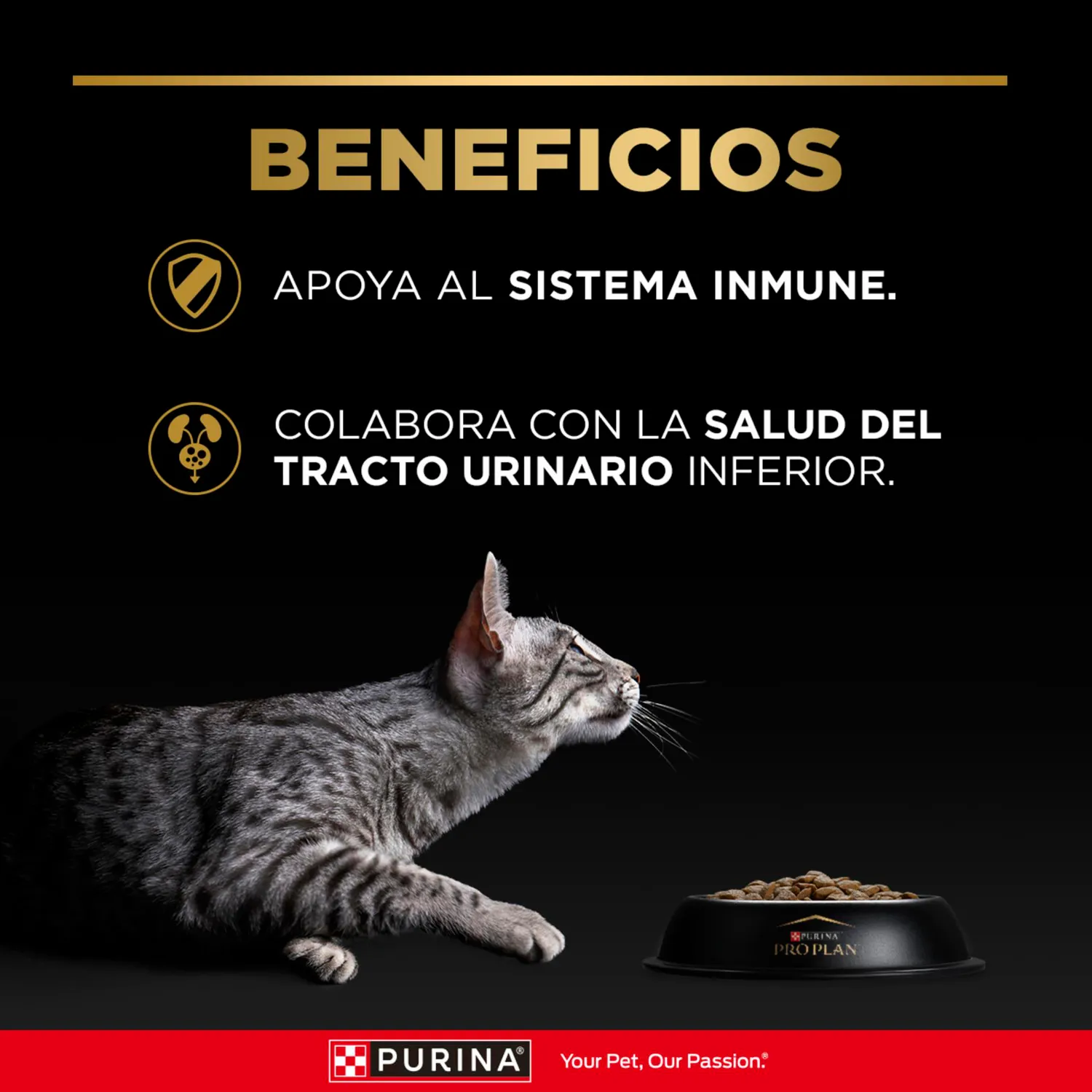 Comida Seca Para Gato Adulto Pro Plan Sabor A Pollo 1.5kg 5