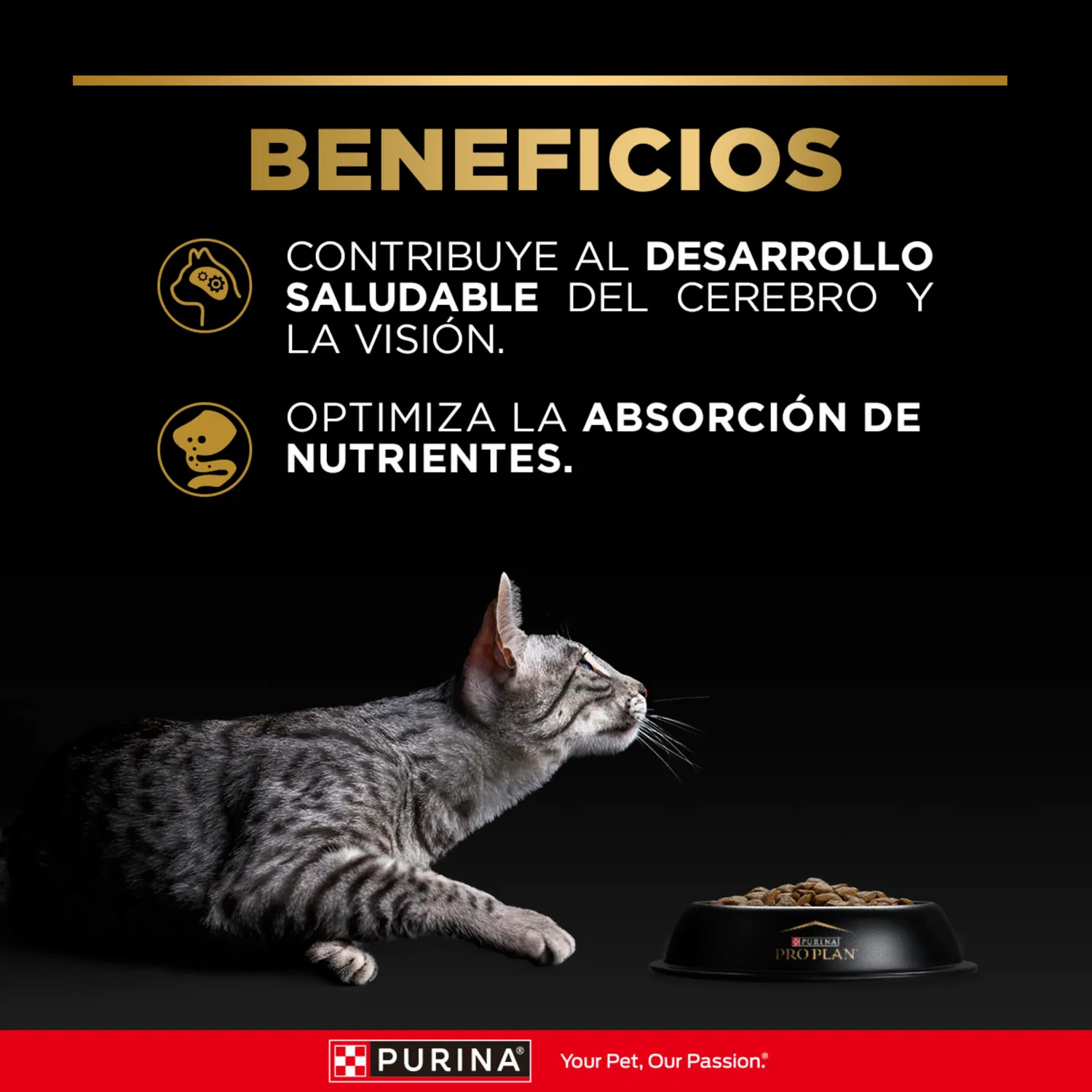 Comida Seca Para Gato Cachorro Pro Plan Sabor A Pollo 1.5kg 4