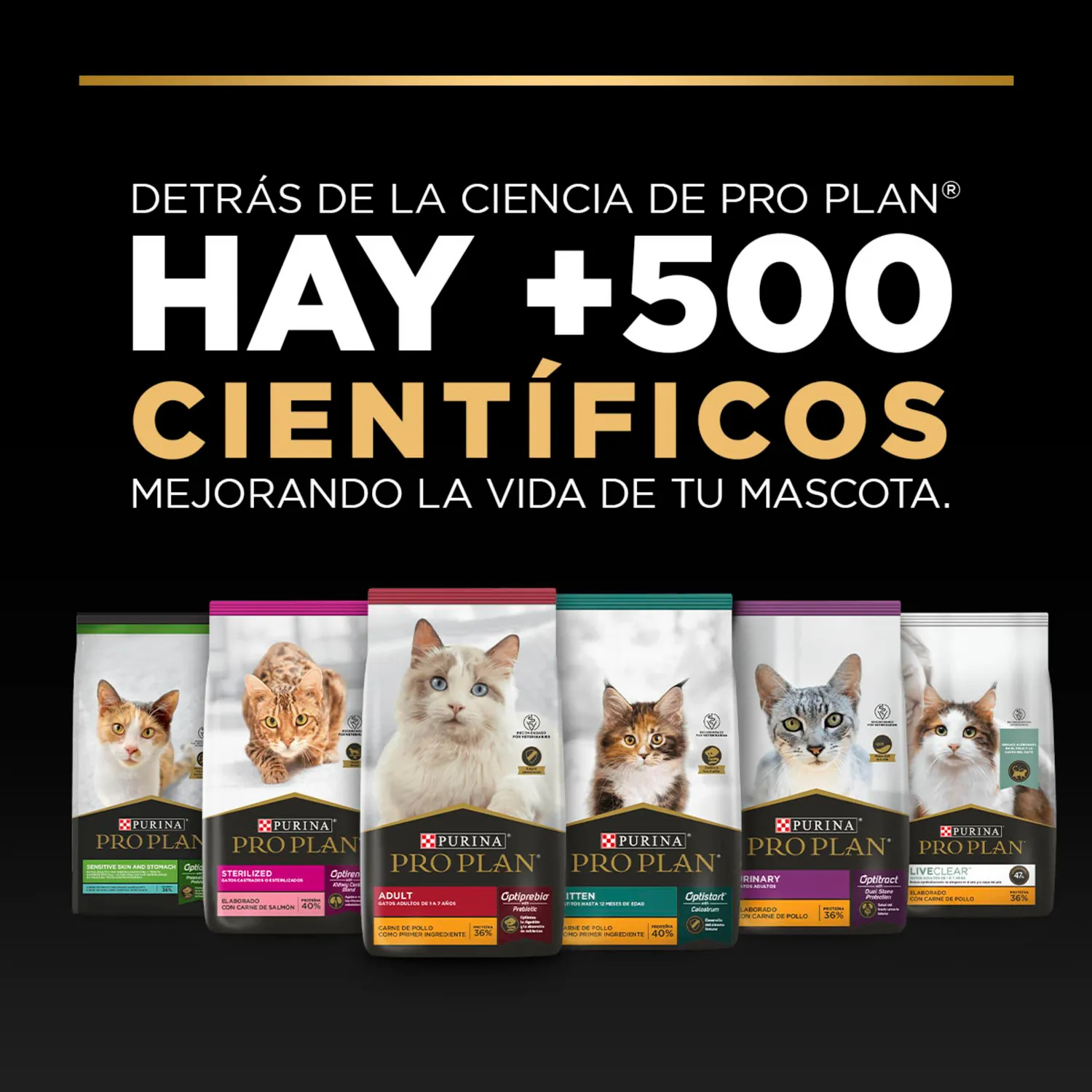 Comida Seca Para Gato Cachorro Pro Plan Sabor A Pollo 1.5kg 7