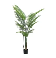 Palma Areca X 12 Hojas - 150 Cms