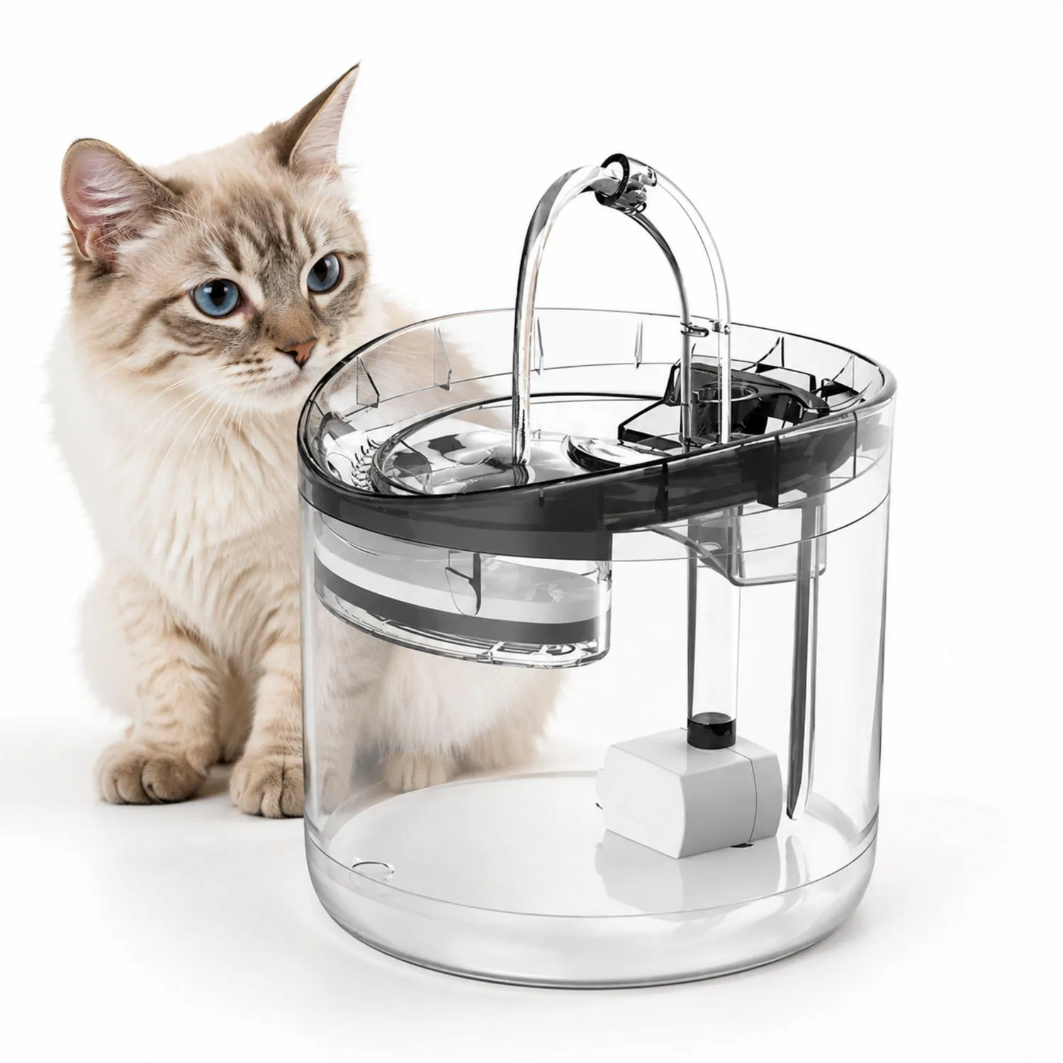 Fuente De Agua Para Perro Transparente 2L