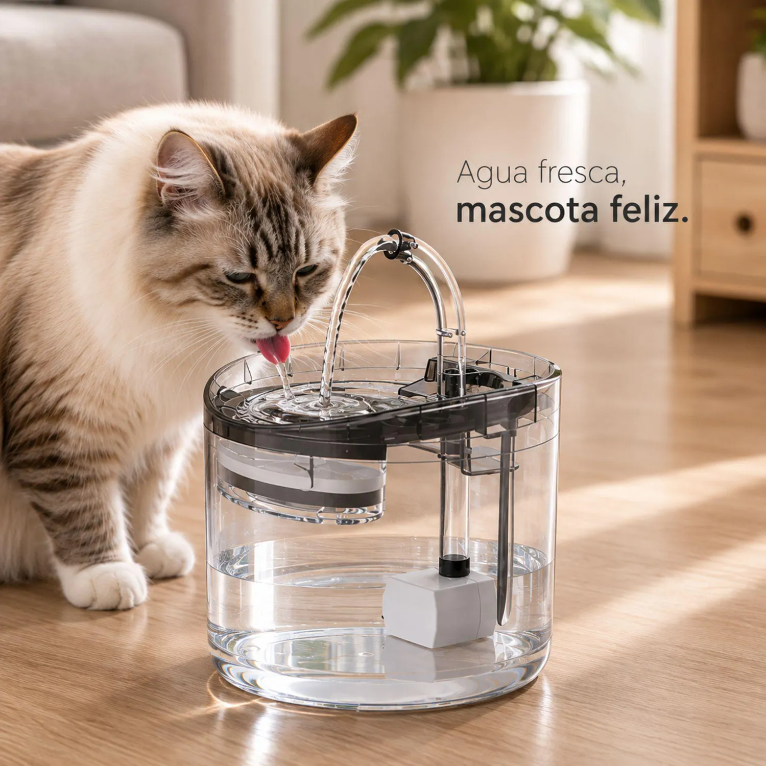 Fuente De Agua Para Perro Transparente 2L