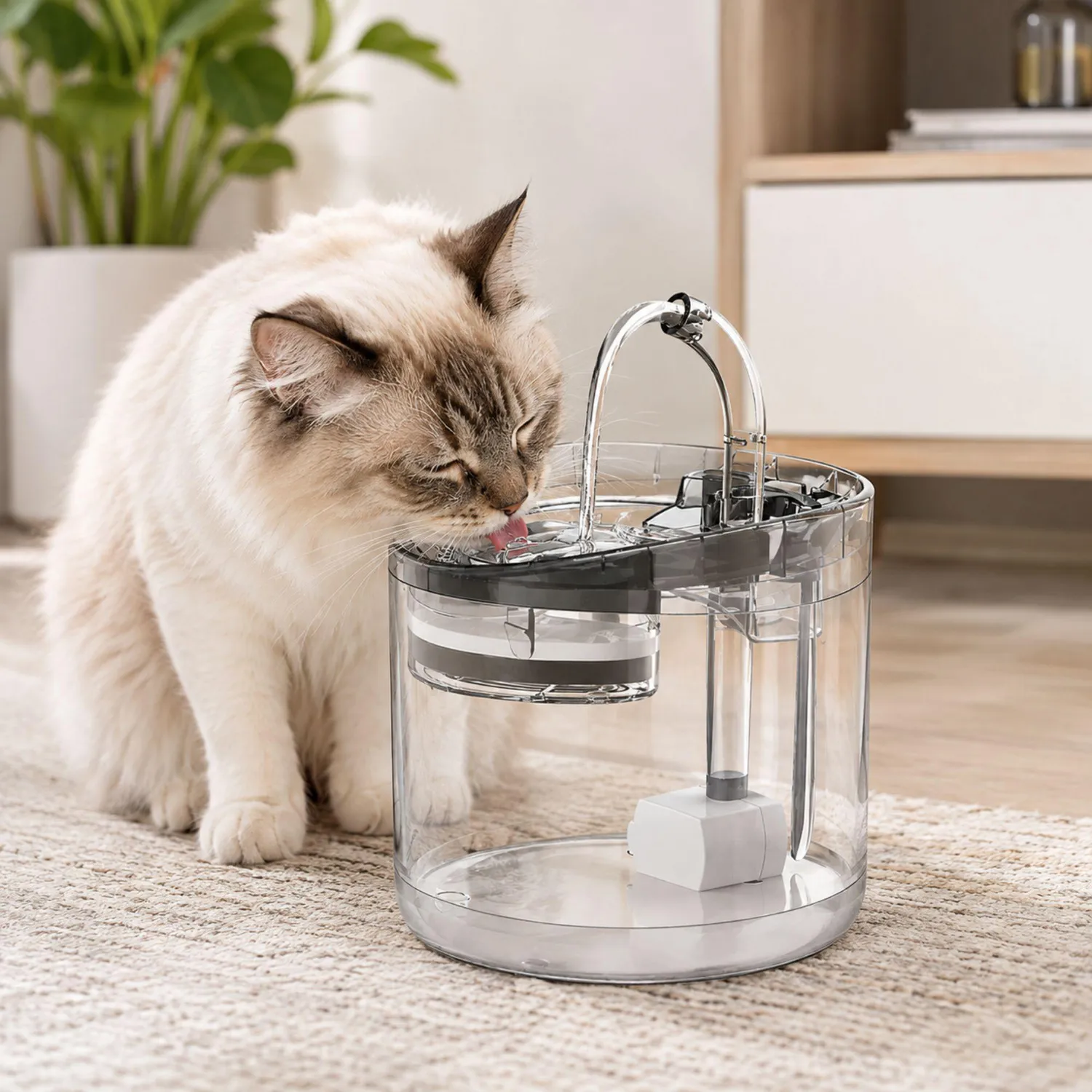 Fuente De Agua Para Perro Transparente 2L 5