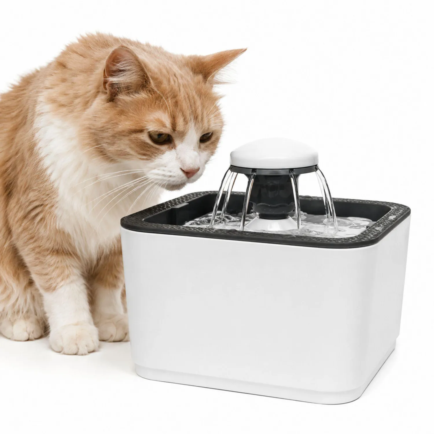 Fuente De Agua Para Perro Y Bebedero Automática