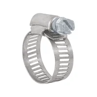 10 Abrazaderas En Acero Inoxidable Desde 19 Mm a 27 Mm Fiero x 5 Unidades