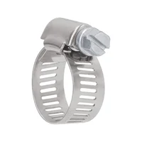 10 Abrazaderas En Acero Inoxidable Desde 16 Mm a 23 Mm Fiero x 5 Unidades