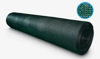 Cerratex Priv Verde Negro 2.00 m x 100 ml Tesicol