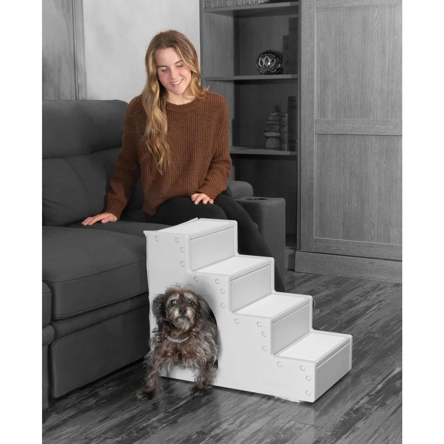 Escaleras Iv para Perros Pequeños Pg9640egdenu