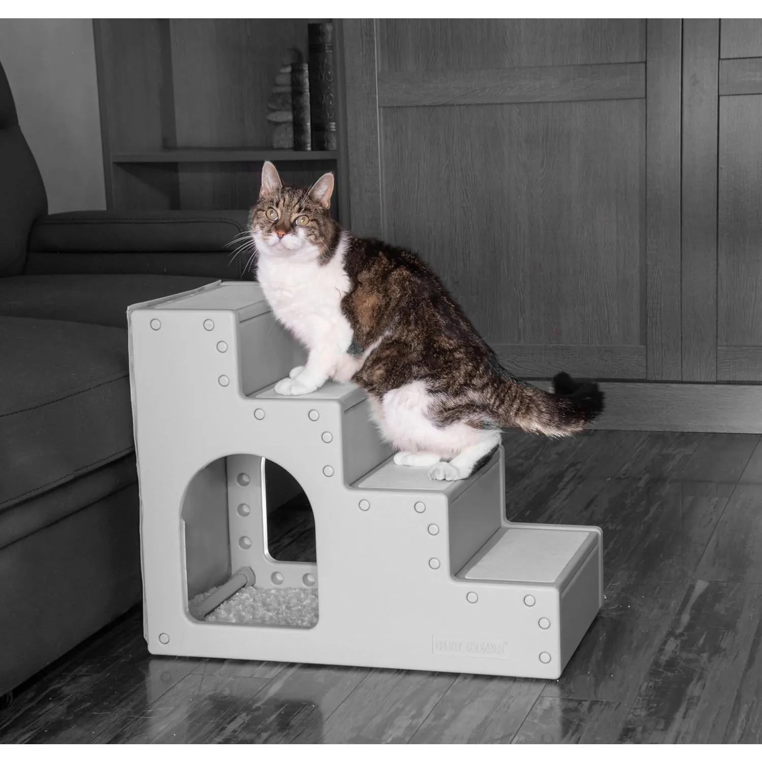 Escaleras Iv para Perros Pequeños Pg9640egdenu 4