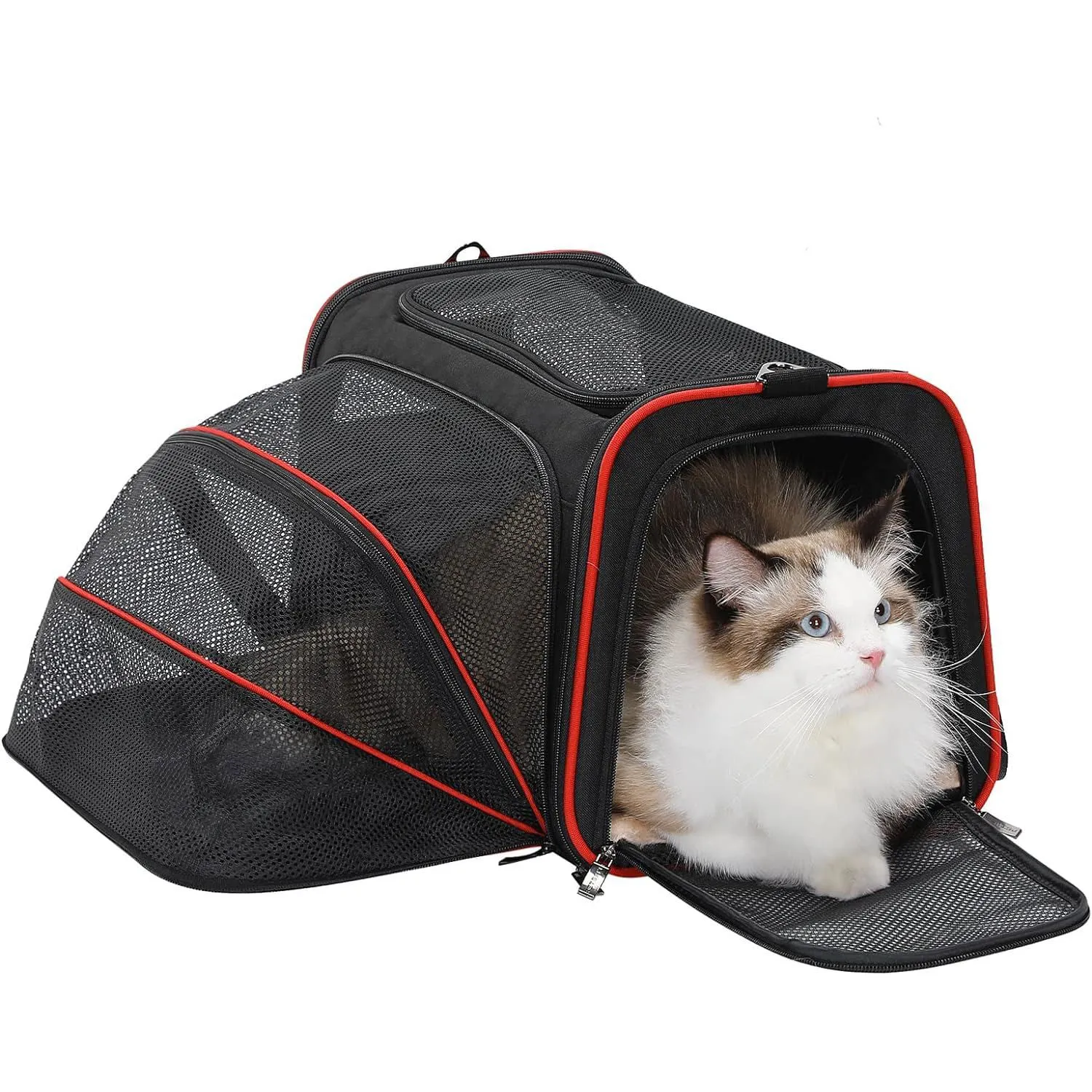 Transportador Para Mascotas  47x29x29cm Pequeño Verde