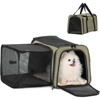 Transportador Para Mascotas  49x31x31cm Pequeño Verde