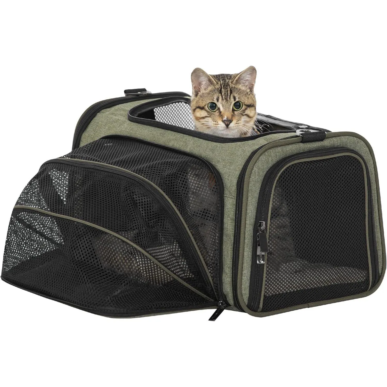 Transportador Para Mascotas  68x26x24cm Pequeño Verde