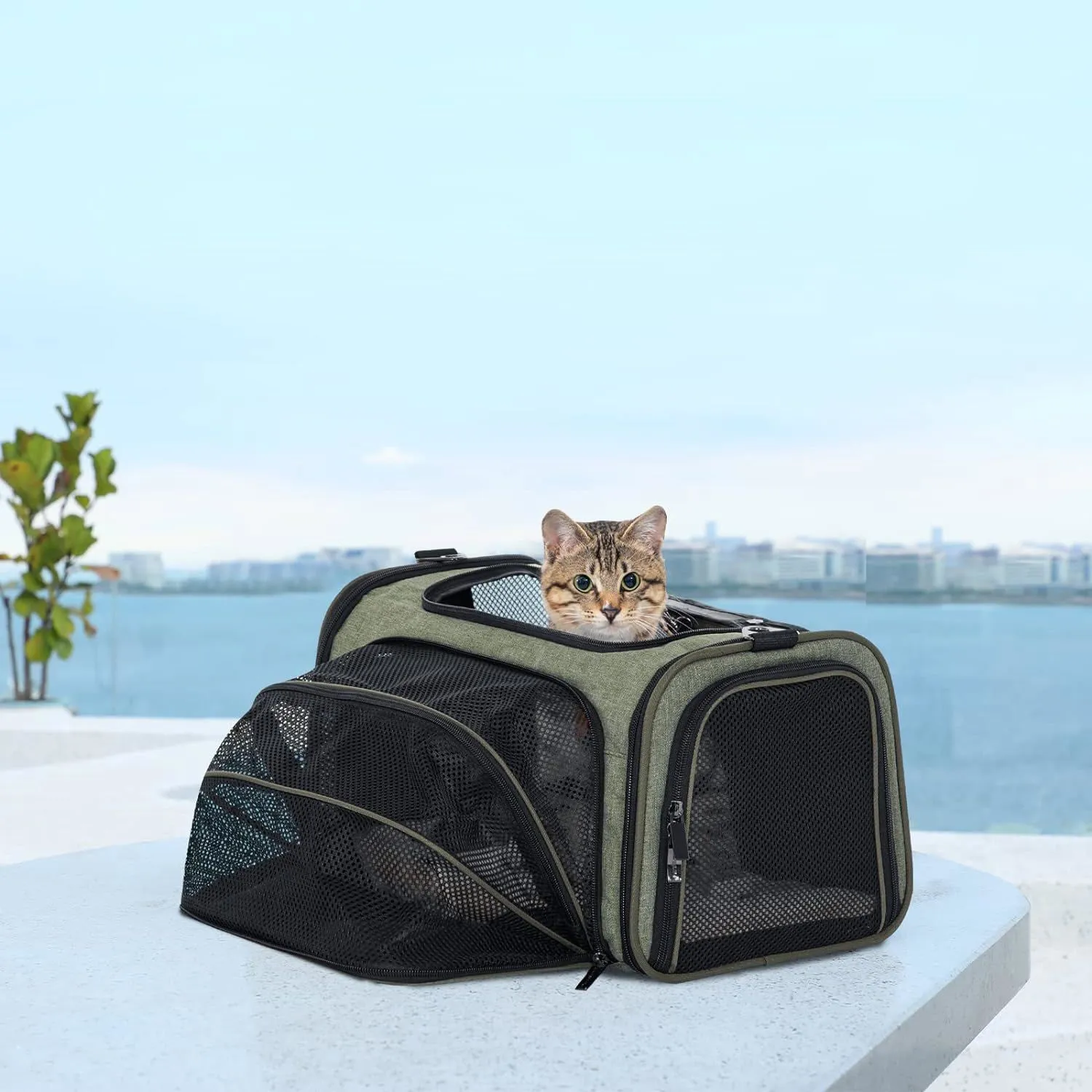 Transportador Para Mascotas  68x26x24cm Pequeño Verde 8