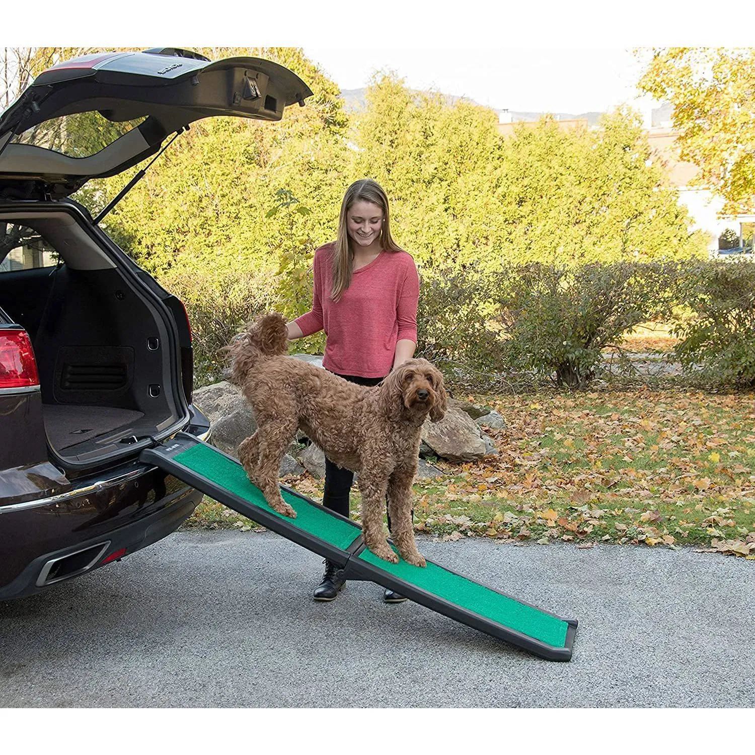 Rampa para Perros Portátil de 42-71 In Pg9166g