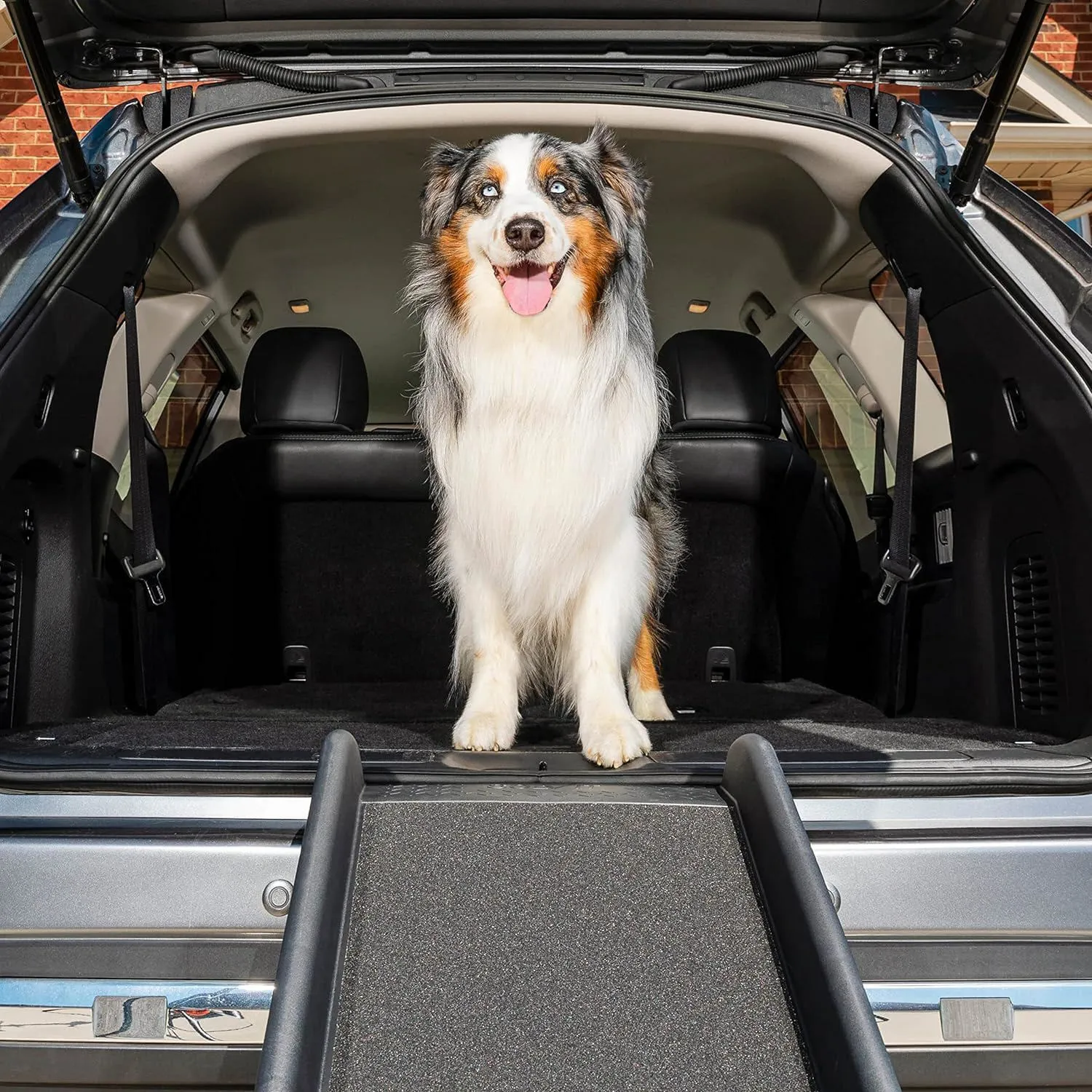 Kit de Viaje para Mascotas con Barrera y Rampa Plegable para Vehículo PetSafe Happy Ride Negro 6