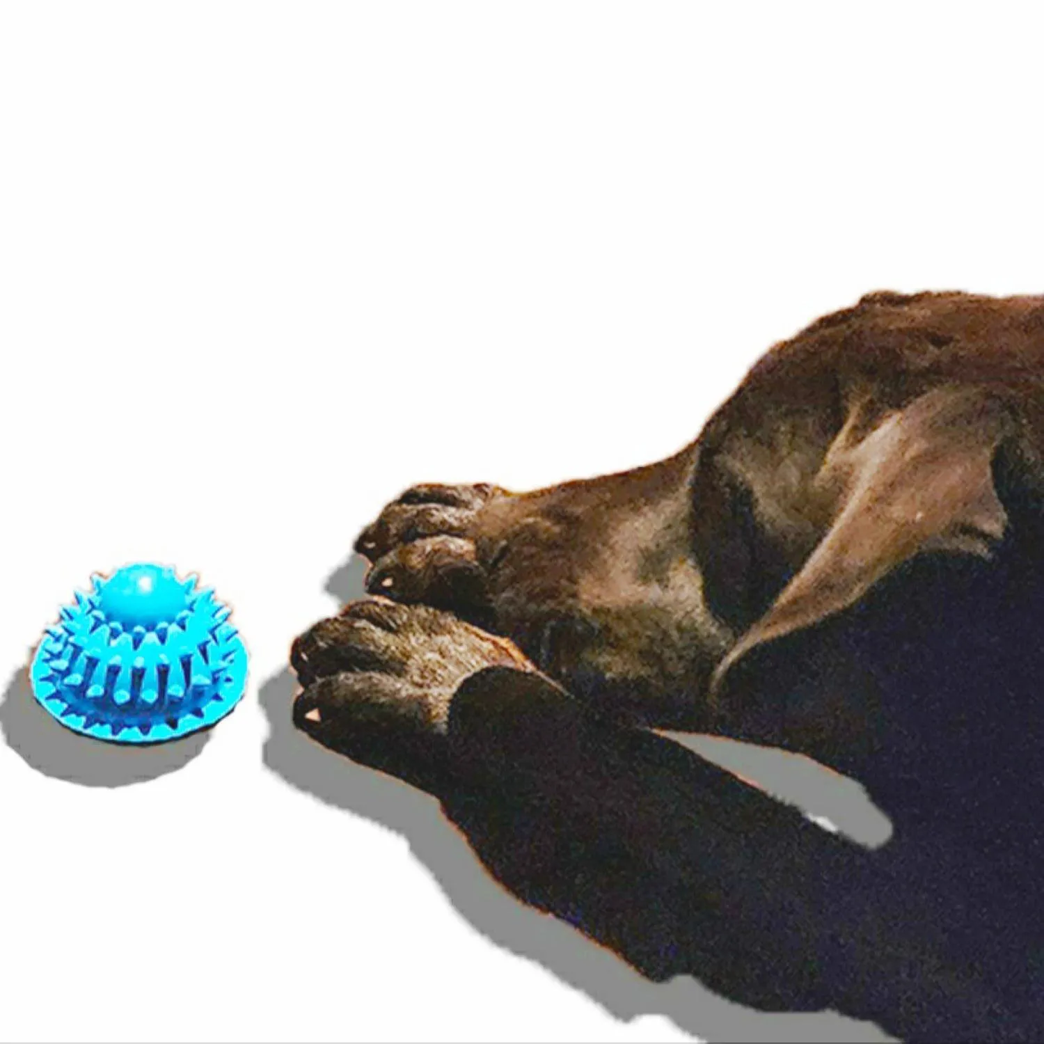Pelota Para Perro De Premio King Petizoos