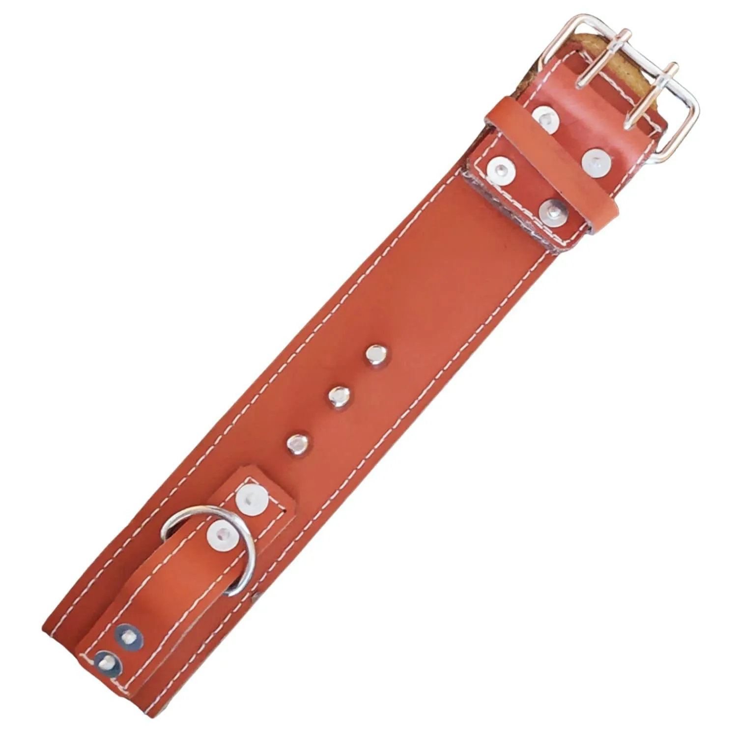 Collar Para Perro Cuero Raza Grande 60cm Petizoos 3
