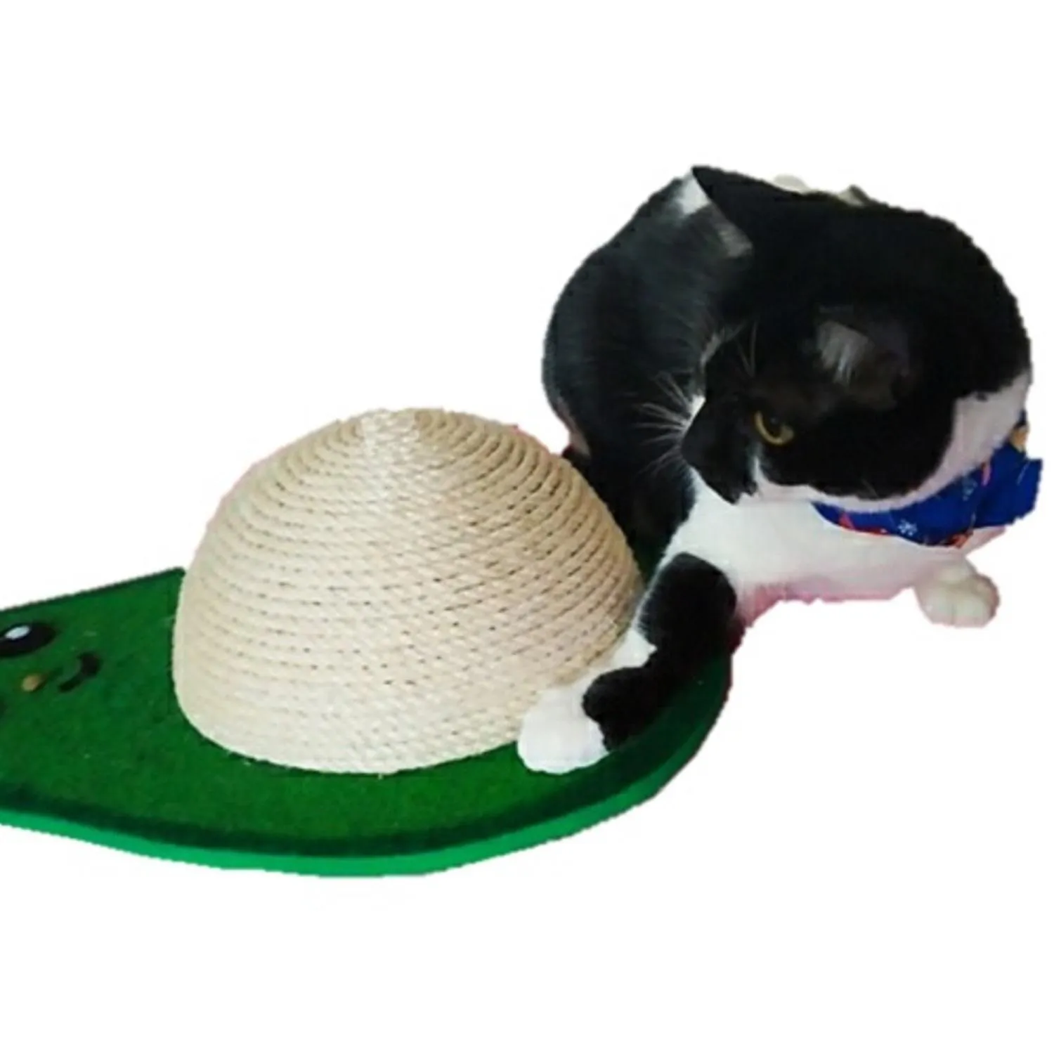 Rascador Para Gatos Aguacate 44x29x25cm Pequeño 3
