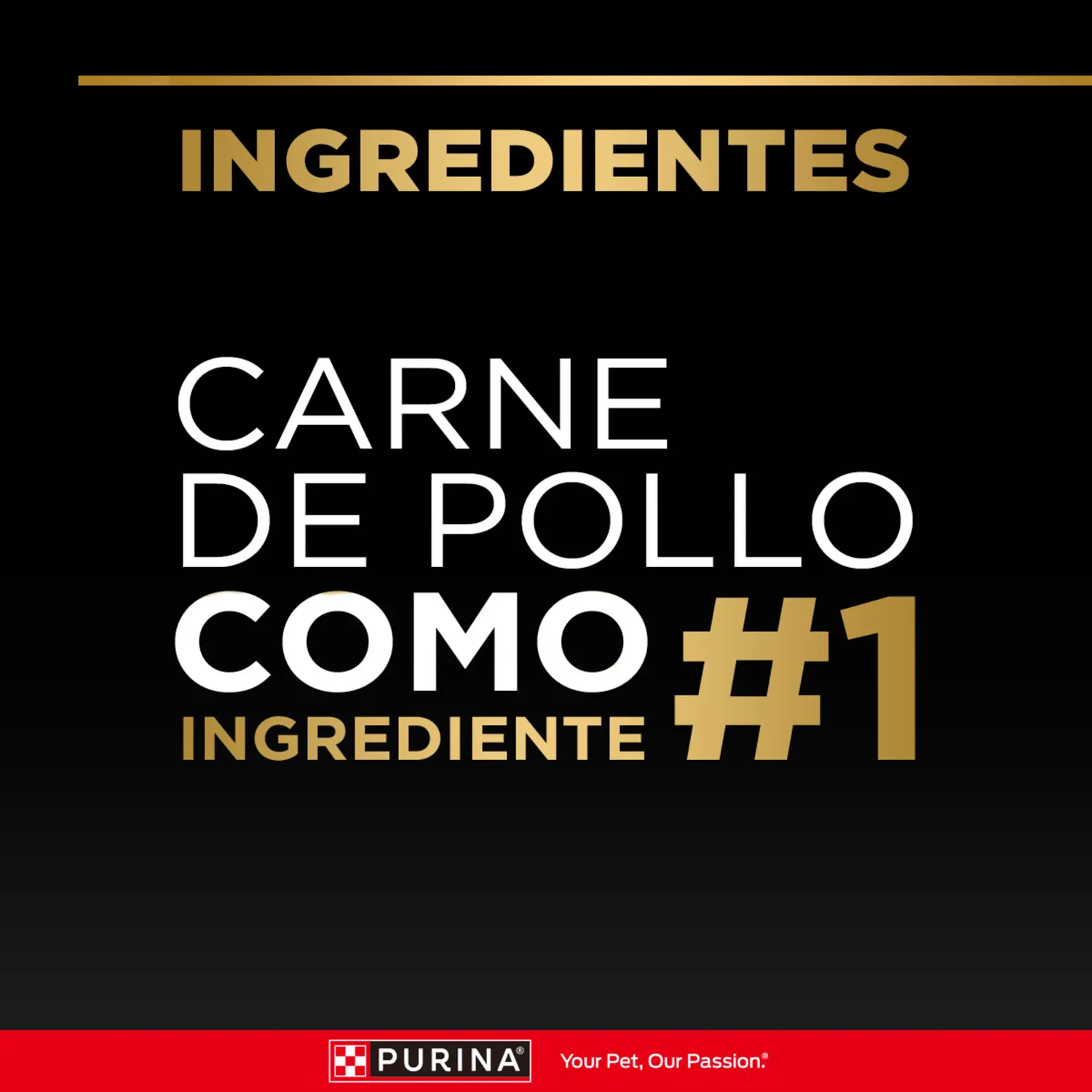 Comida Seca Para Perro Pro Plan Raza Pequeña Sabor A Pollo 1kg 4