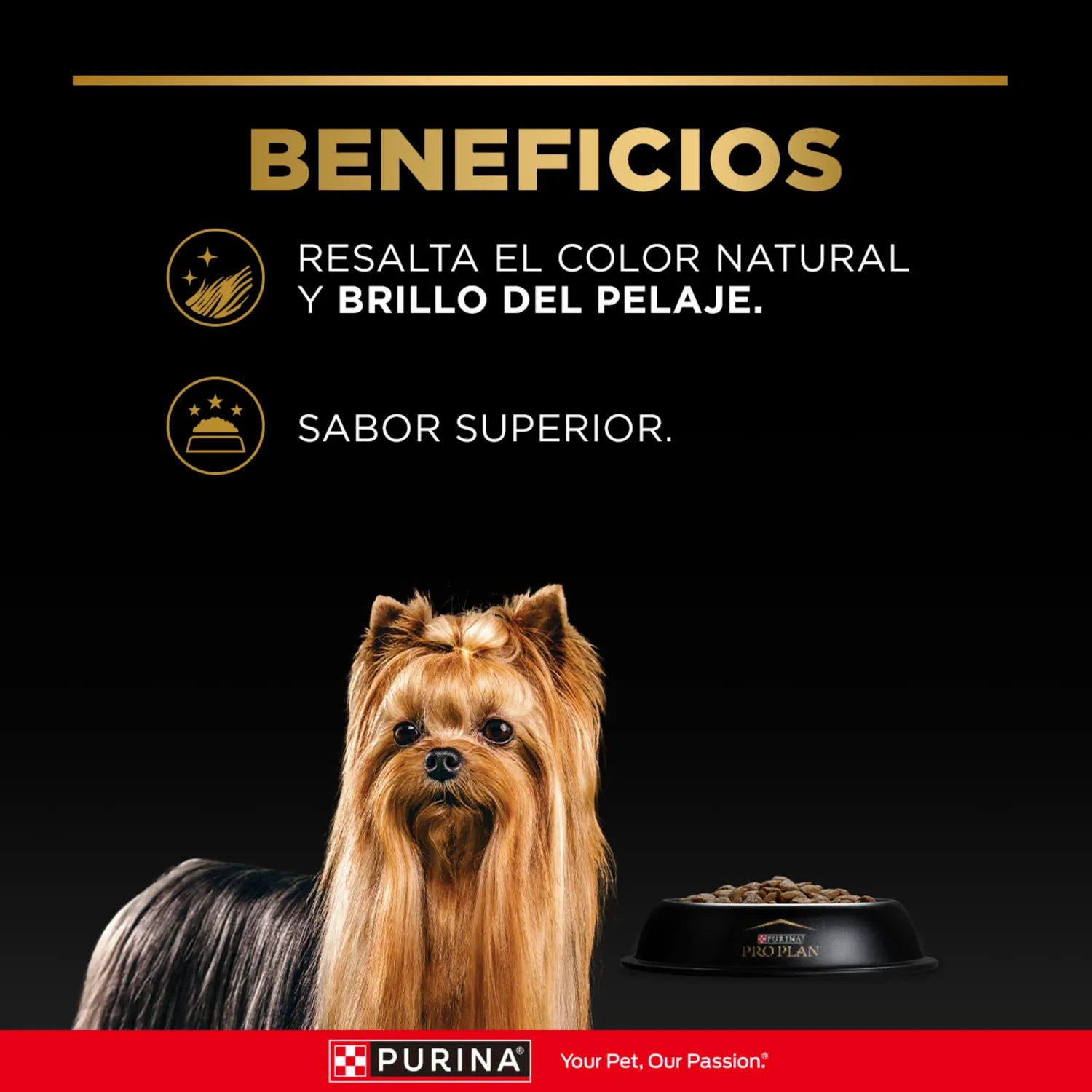 Comida Seca Para Perro Pro Plan Raza Pequeña Sabor A Pollo 1kg 5