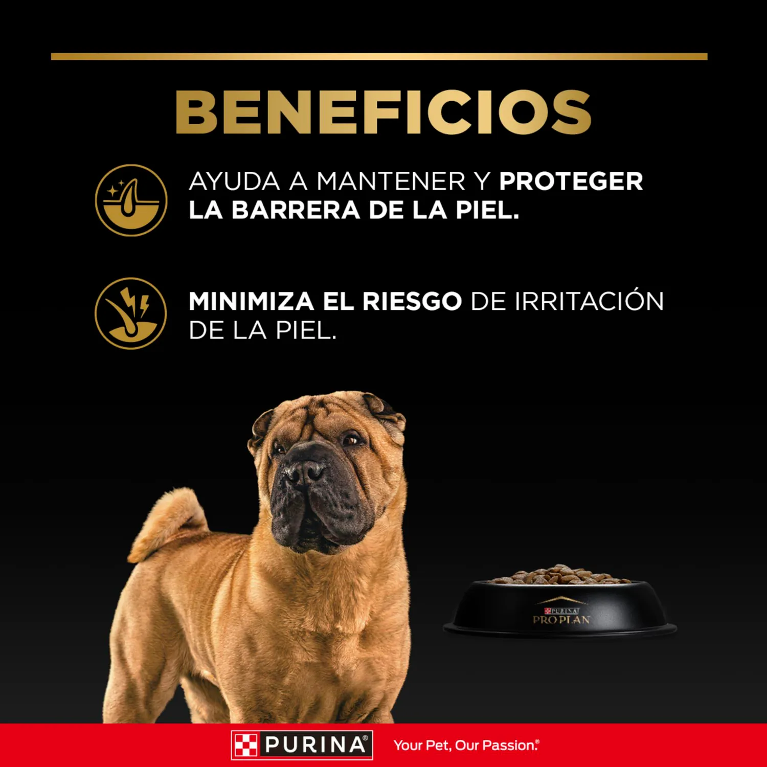 Comida Seca Para Perro Adulto Pro Plan Sensitive Skin 3kg 4