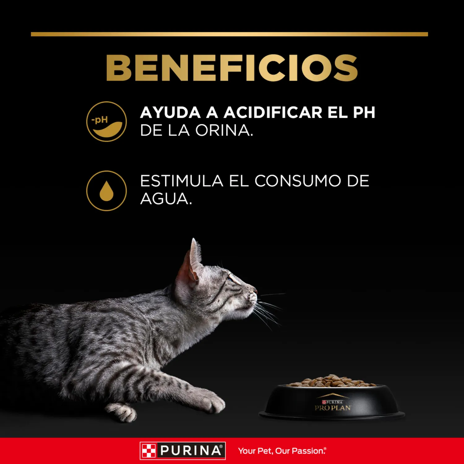 Comida Seca Para Gato Excellent Urinary 1.5kg 5