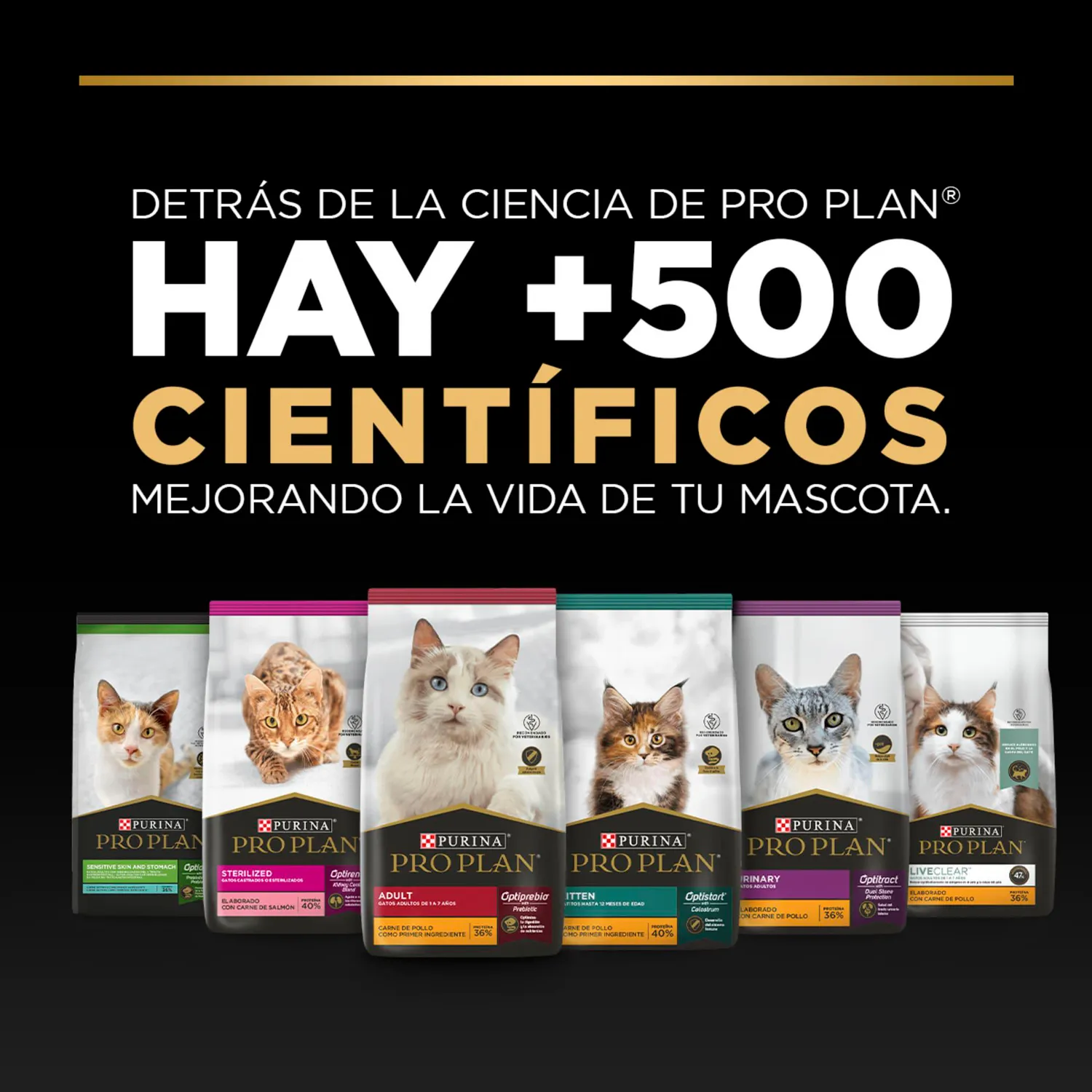 Comida Seca Para Gato Excellent Urinary 1.5kg 8