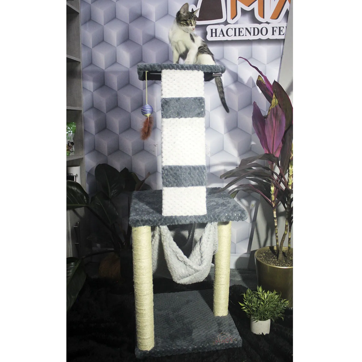 Gimnasio Rascador Para Gatos 60x60x135cm Mediano 3