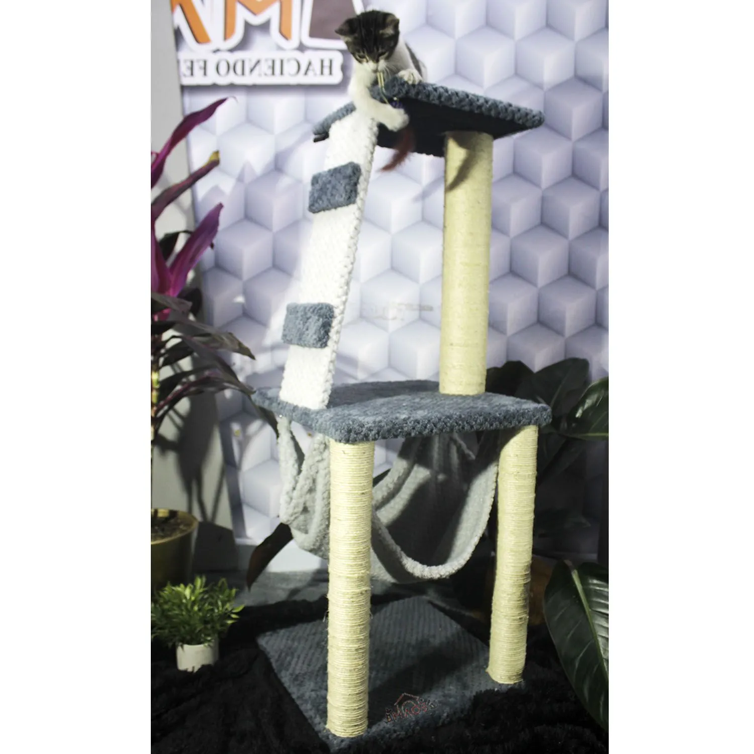 Gimnasio Rascador Para Gatos 60x60x135cm Mediano 5