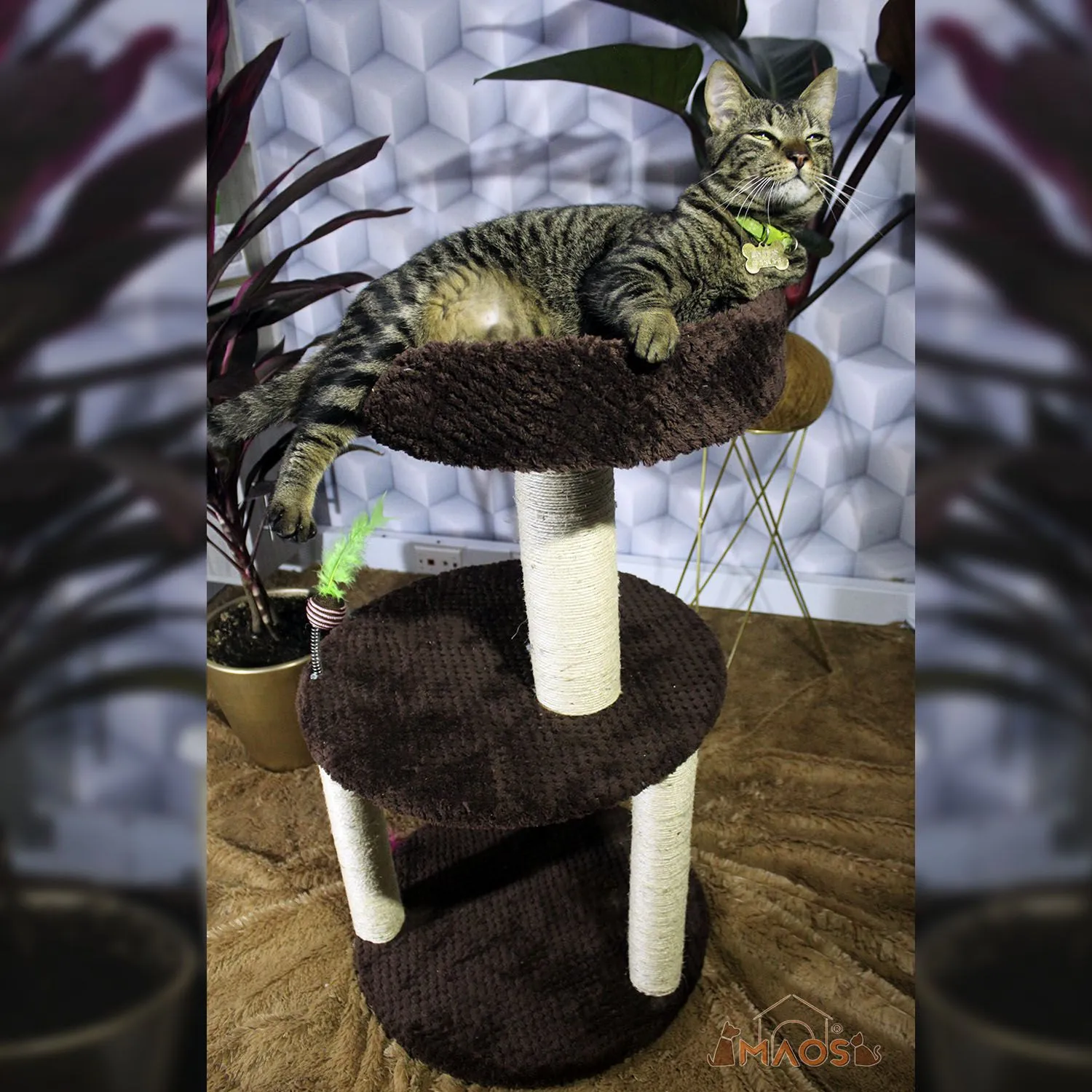 Gimnasio Rascador Para Gatos 45x45x90cm Mediano Café 3