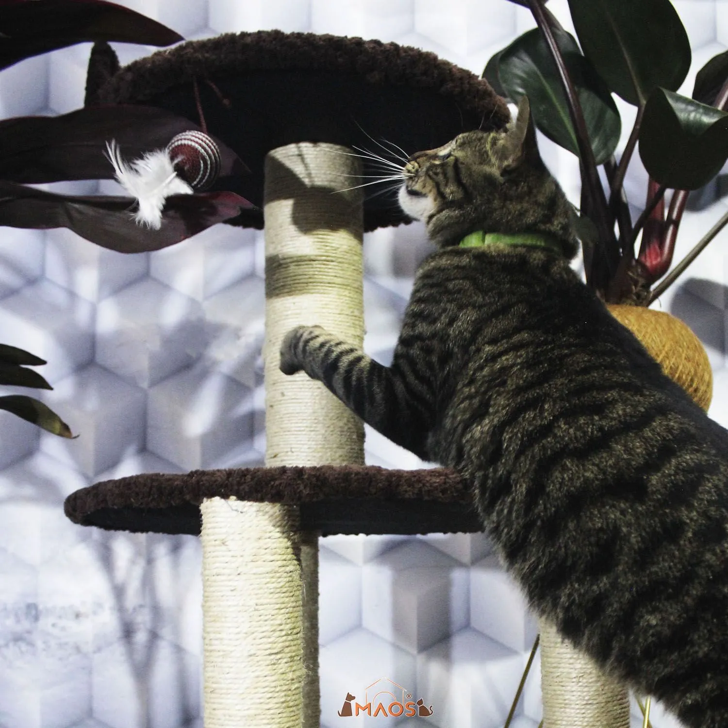 Gimnasio Rascador Para Gatos 45x45x90cm Mediano Café 5