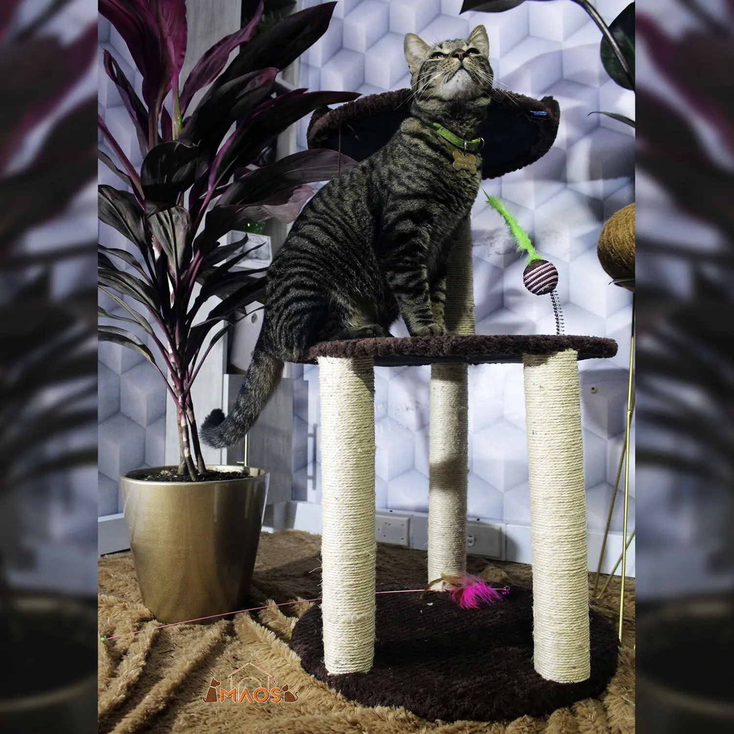 Gimnasio Rascador Para Gatos 45x45x90cm Mediano Café 6