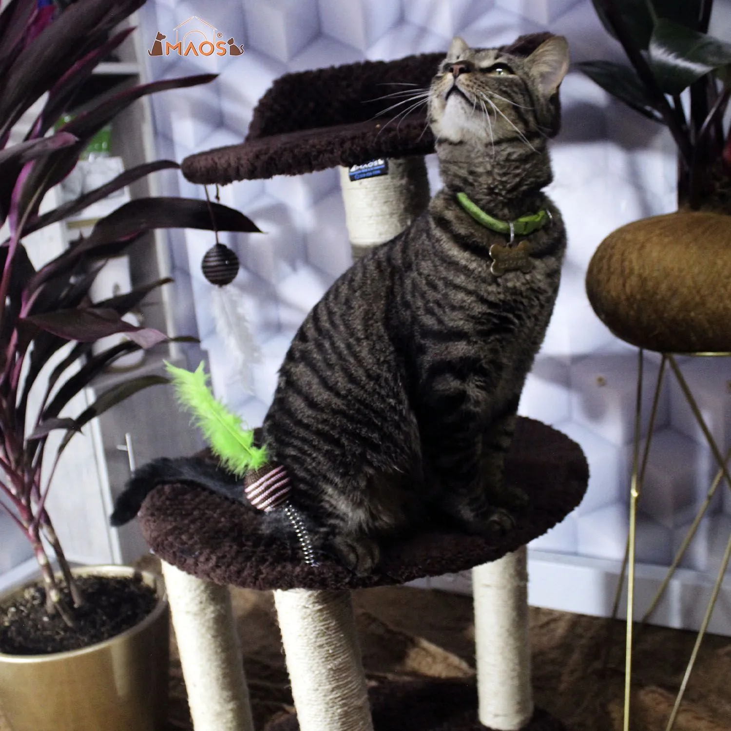 Gimnasio Rascador Para Gatos 45x45x90cm Mediano Café 7