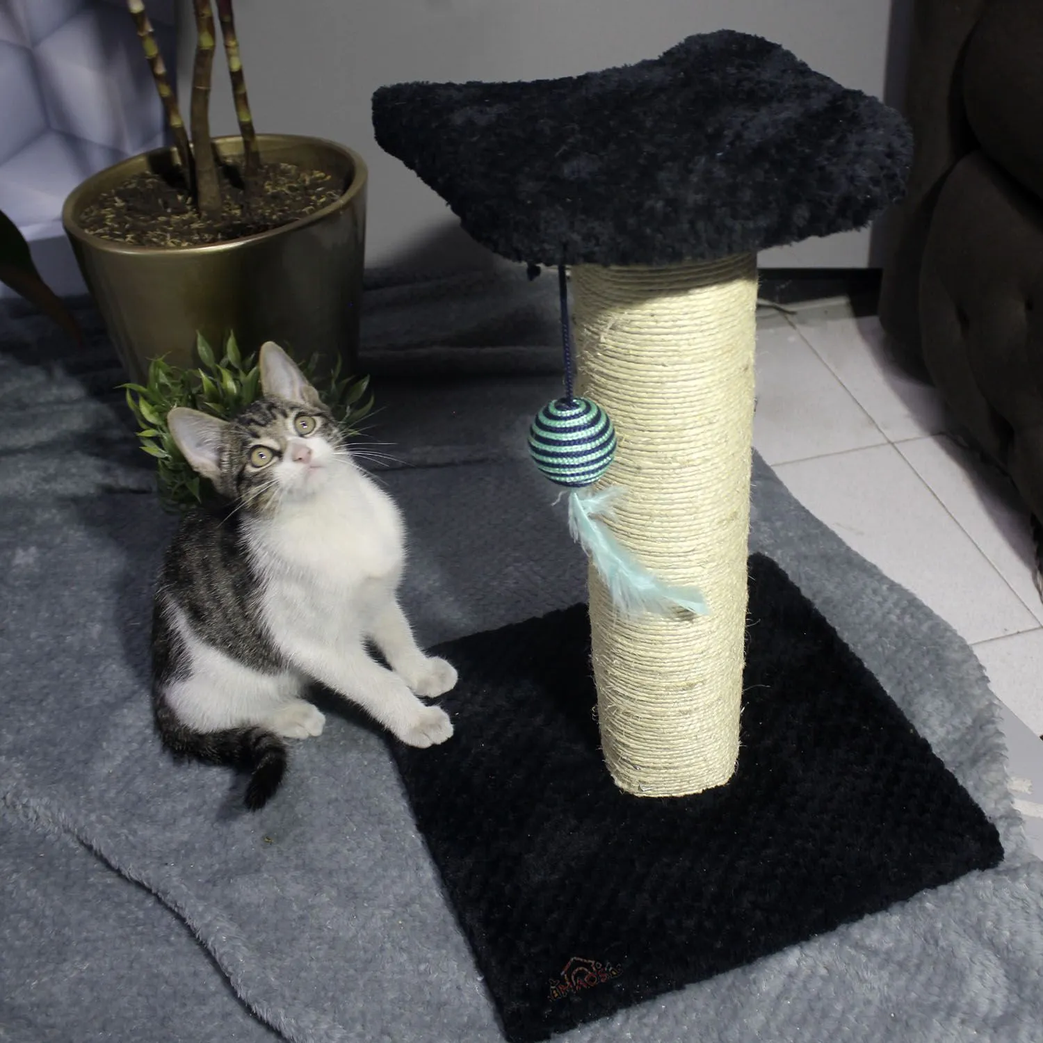 Gimnasio Rascador Para Gatos 30x30x40cm Mediano Negro 5