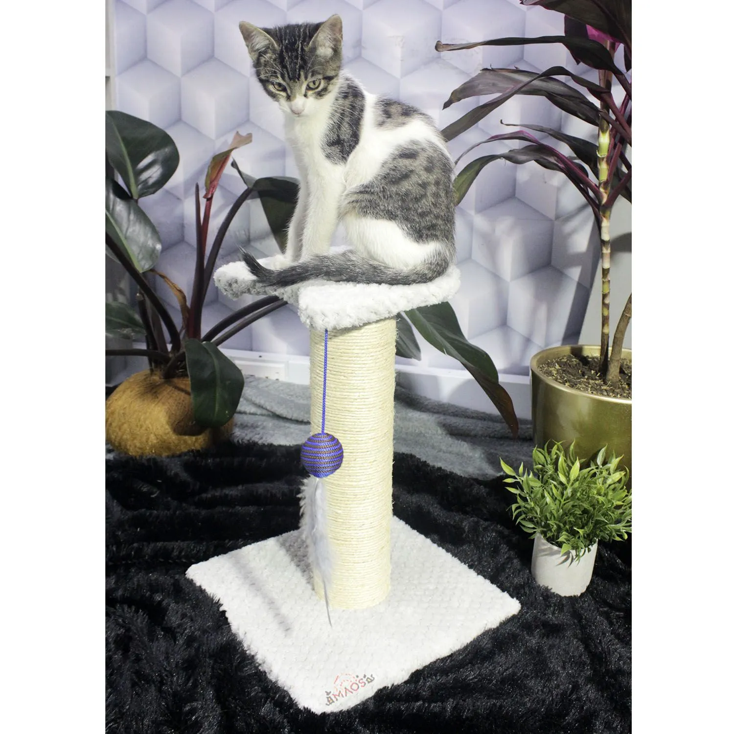Gimnasio Rascador Para Gatos 30x30x40cm Mediano  Gris 3