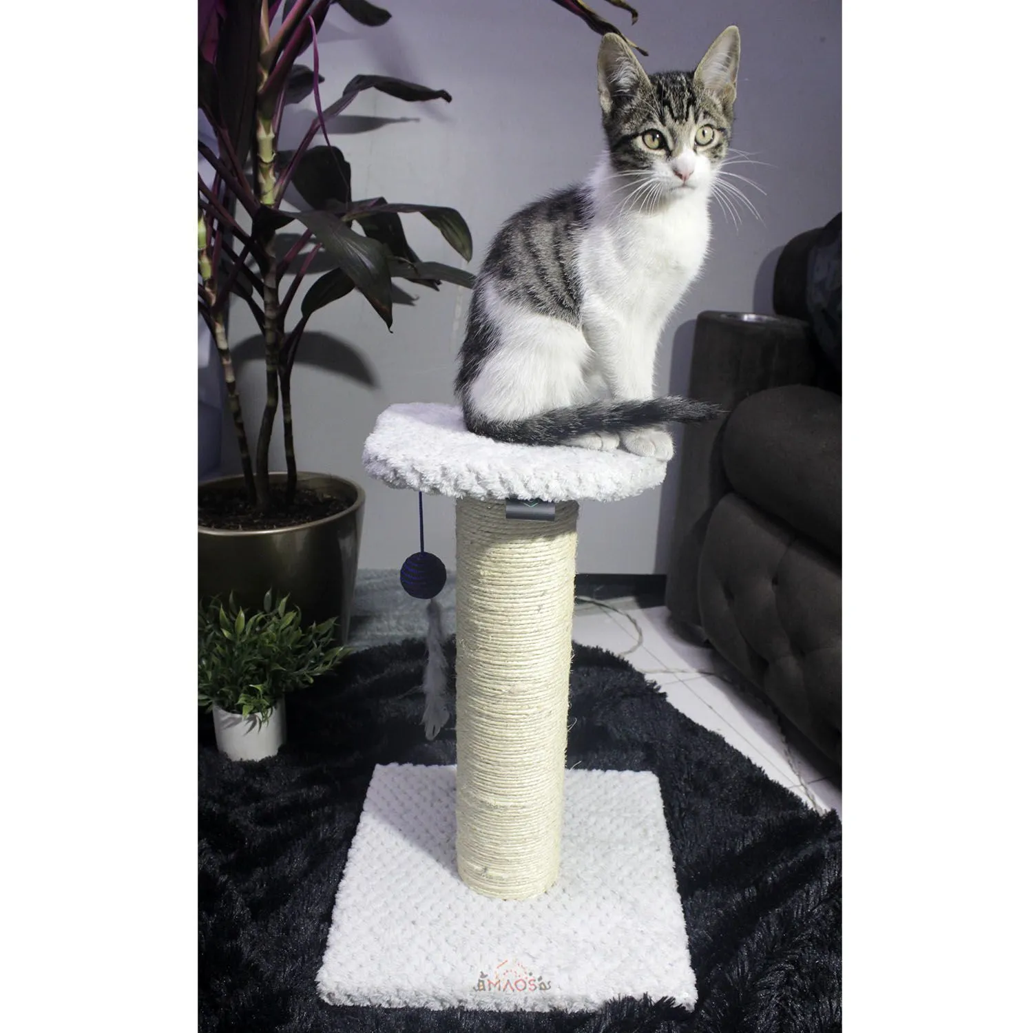 Gimnasio Rascador Para Gatos 30x30x40cm Mediano  Gris 4