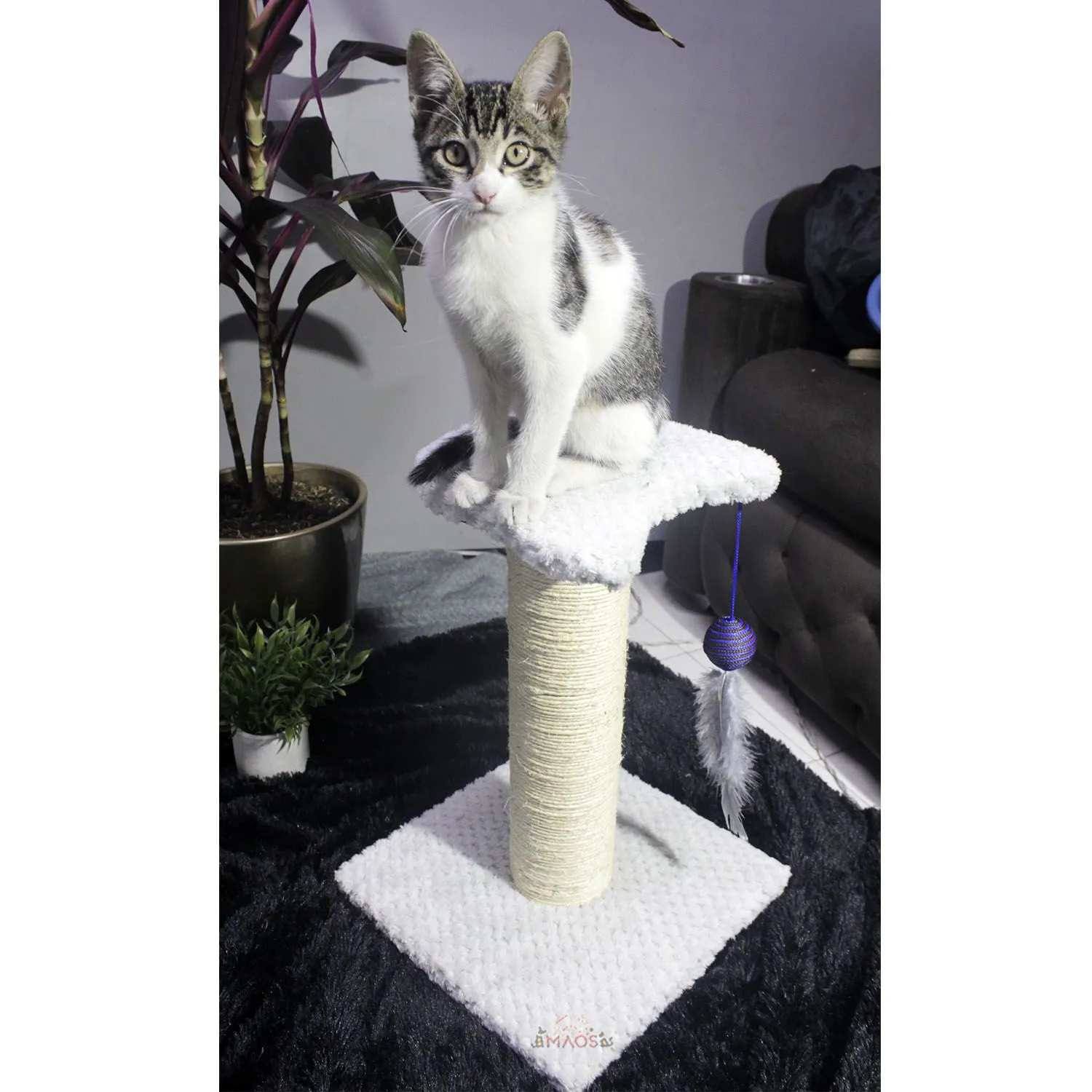 Gimnasio Rascador Para Gatos 30x30x40cm Mediano  Gris 5