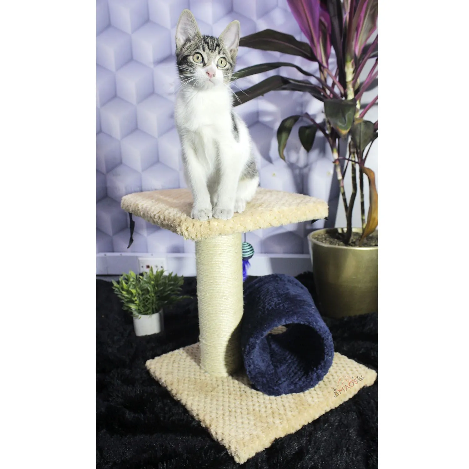 Gimnasio Rascador Para Gatos 35x35x40cm Mediano Beige 4