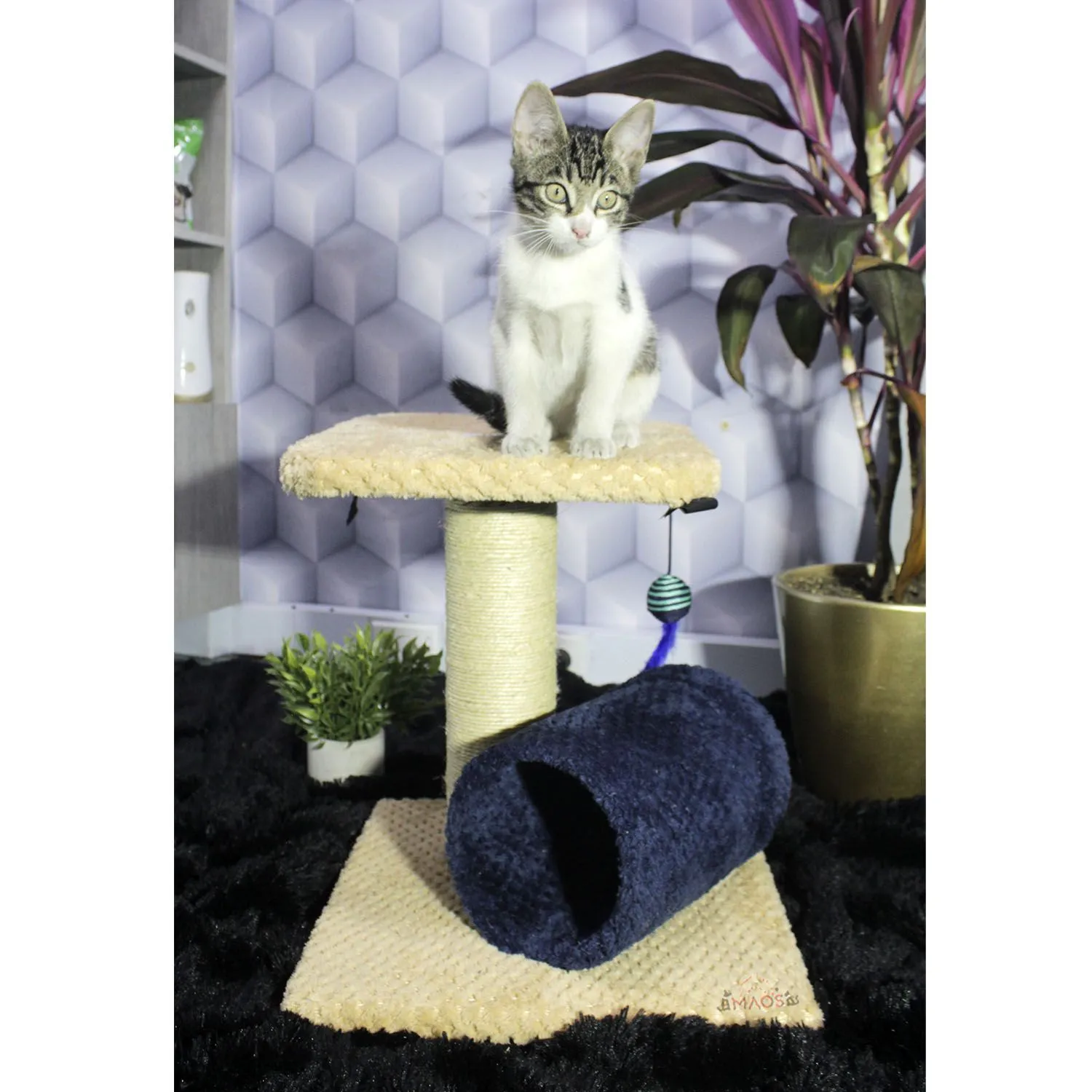 Gimnasio Rascador Para Gatos 35x35x40cm Mediano Beige 5