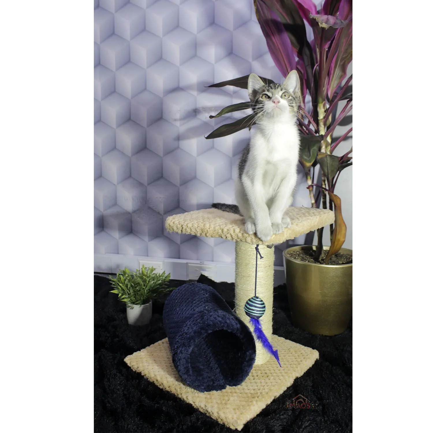 Gimnasio Rascador Para Gatos 35x35x40cm Mediano Beige 6