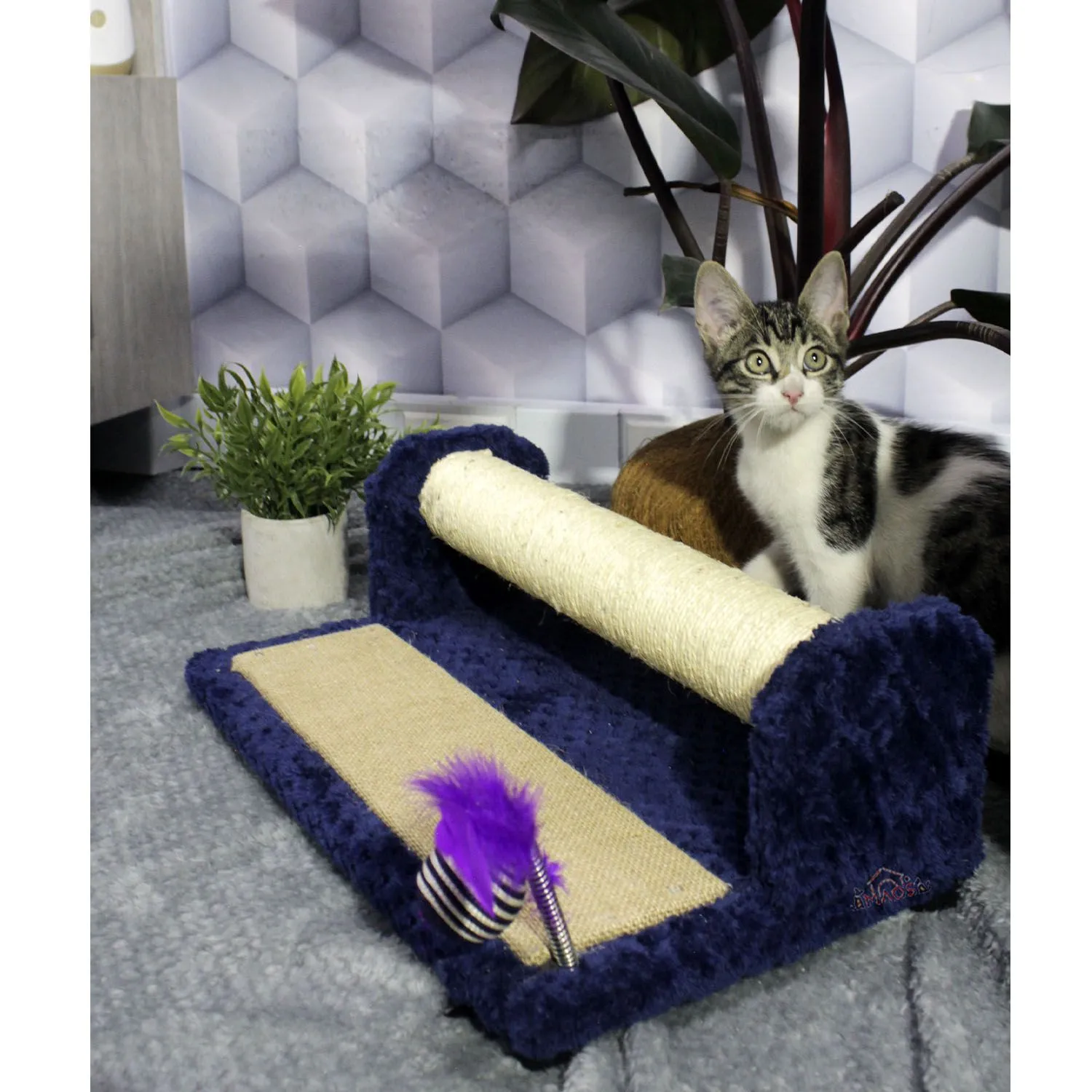 Gimnasio Rascador Para Gatos 42x25x17cm Mediano 4