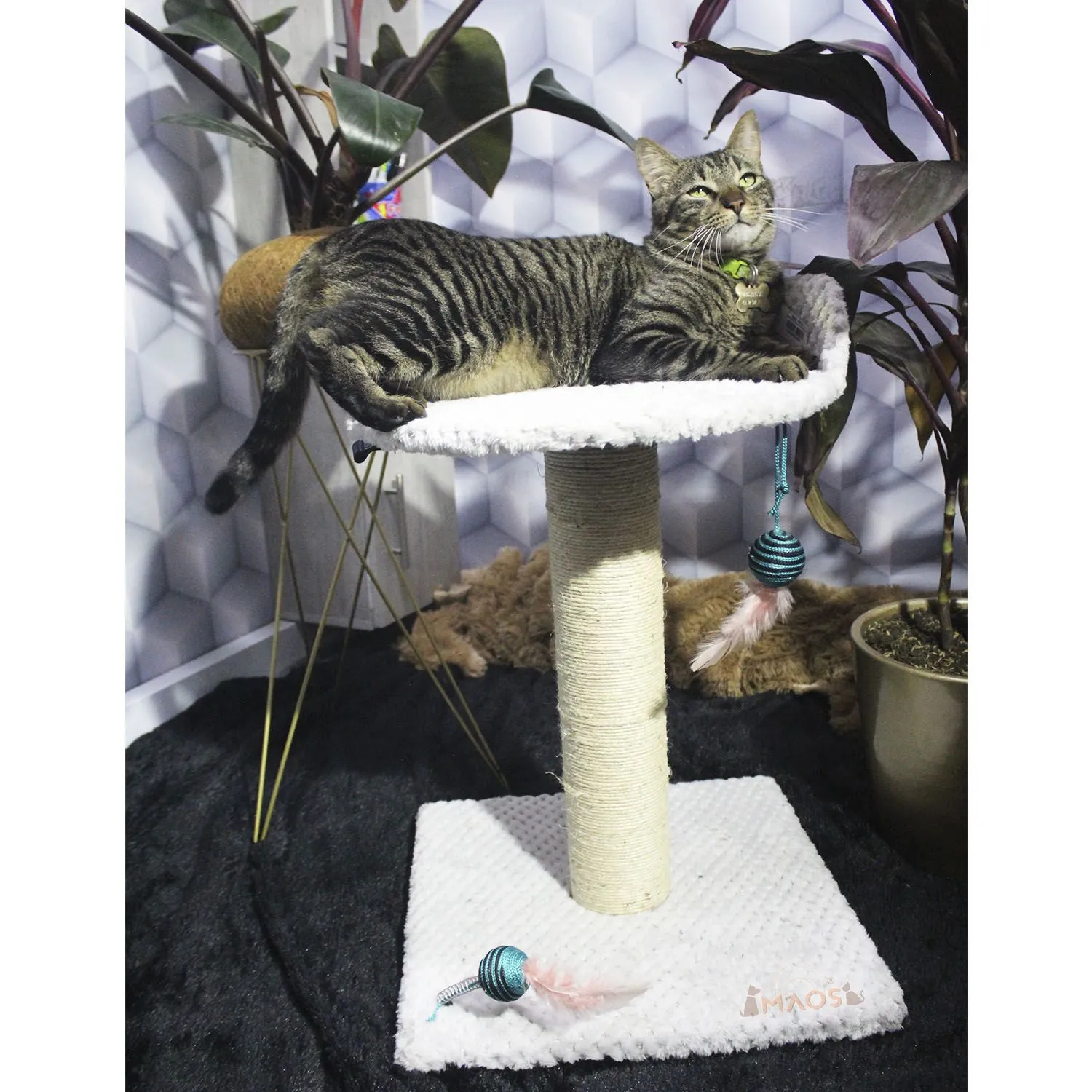 Gimnasio Rascador Para Gatos 40x40x60cm Mediano Gris 4